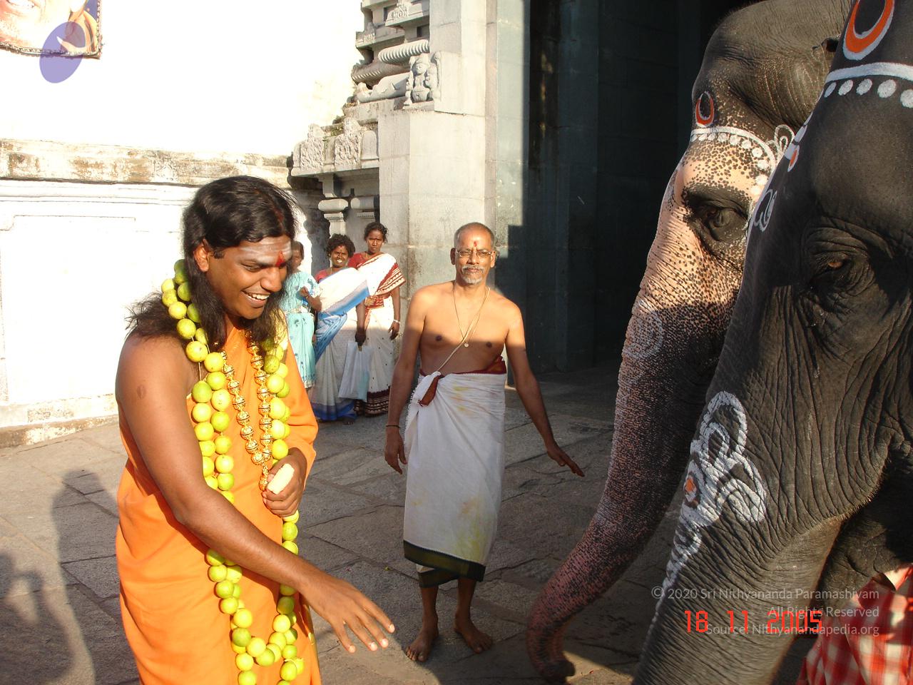 20051118_Photo_1066_Ananda Ula 2005 Kanchipuram 010_CMP_WM