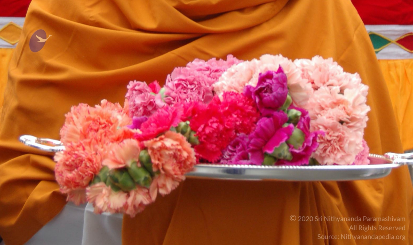 DSC_0103_CMP_WM_DSC_0058_CMP_WM