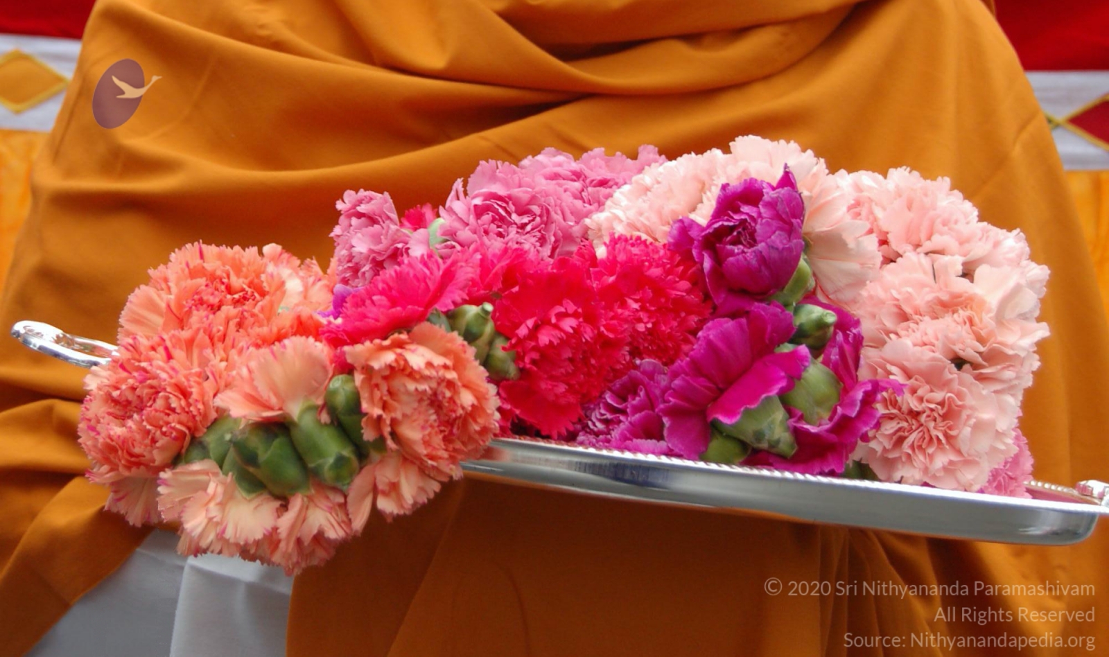 DSC_0104_CMP_WM_DSC_0059_CMP_WM