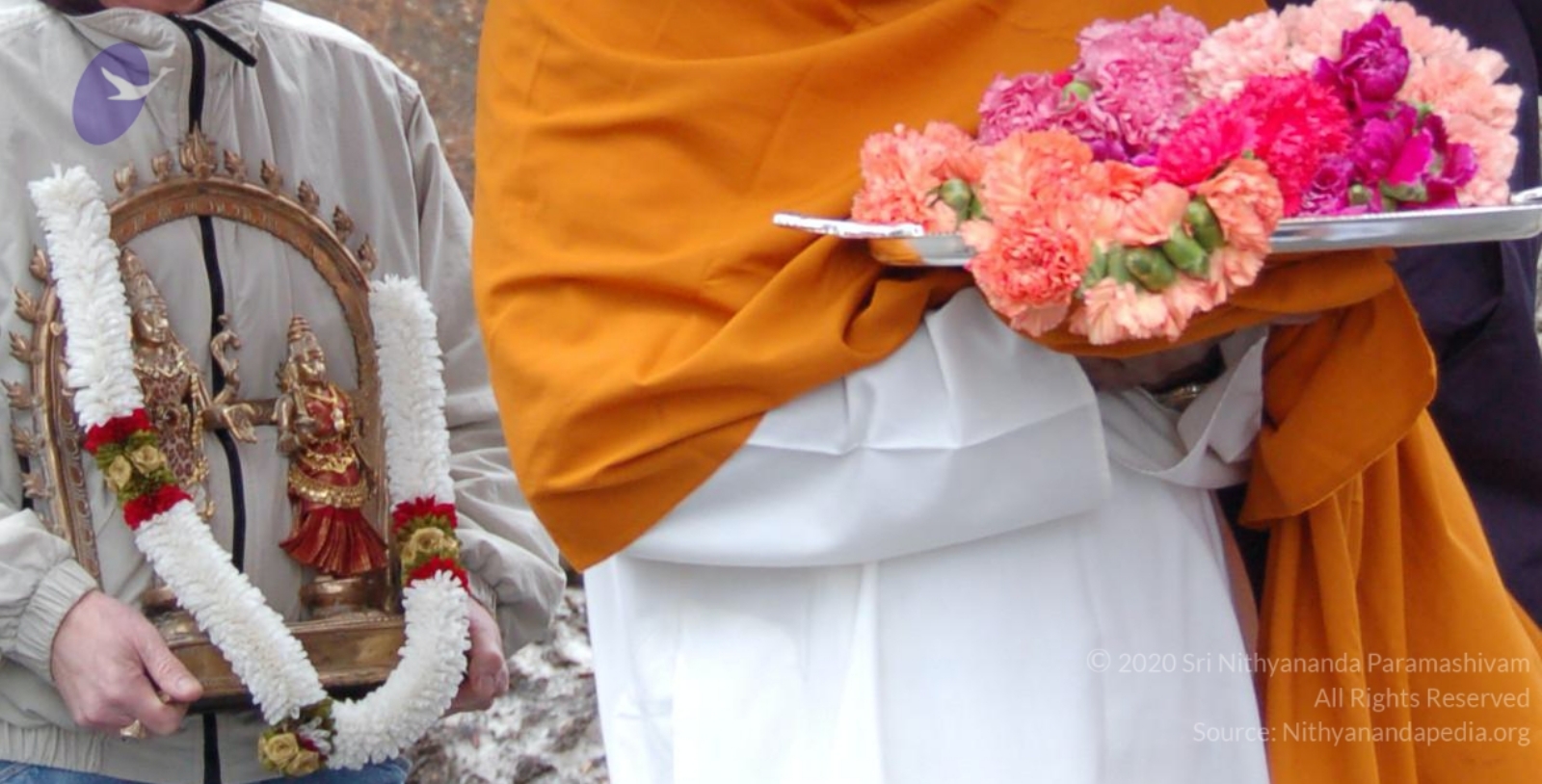 DSC_0106_CMP_WM_DSC_0064_CMP_WM