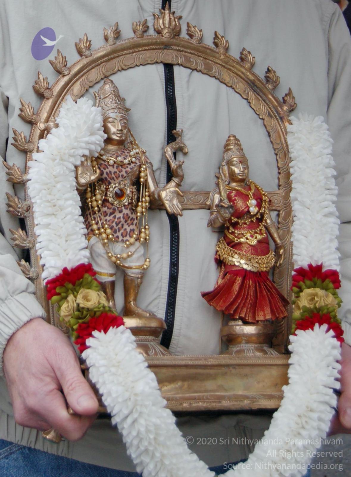 DSC_0106_CMP_WM_DSC_0065_CMP_WM