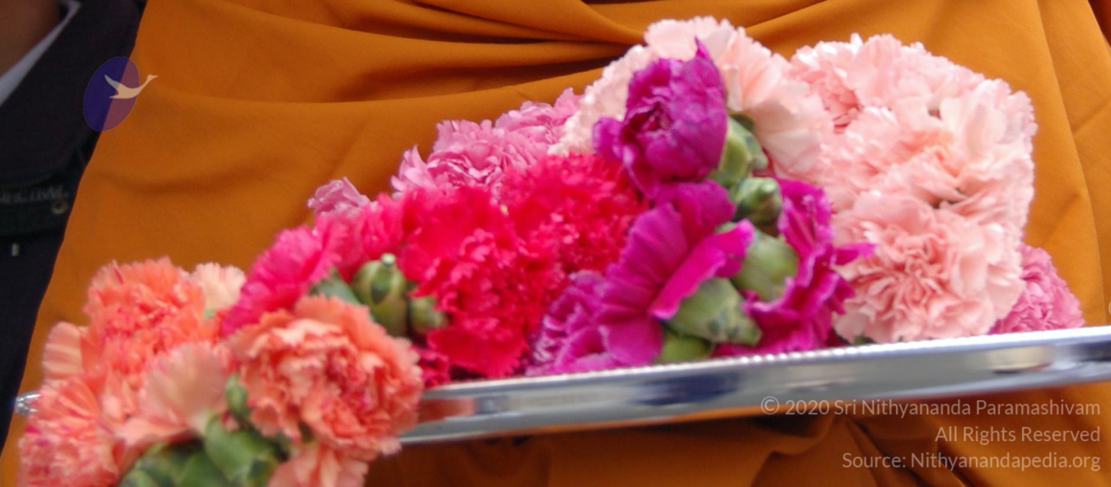 DSC_0106_CMP_WM_DSC_0067_CMP_WM