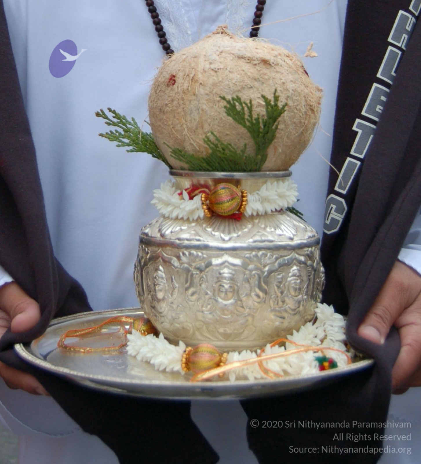 DSC_0106_CMP_WM_DSC_0068_CMP_WM