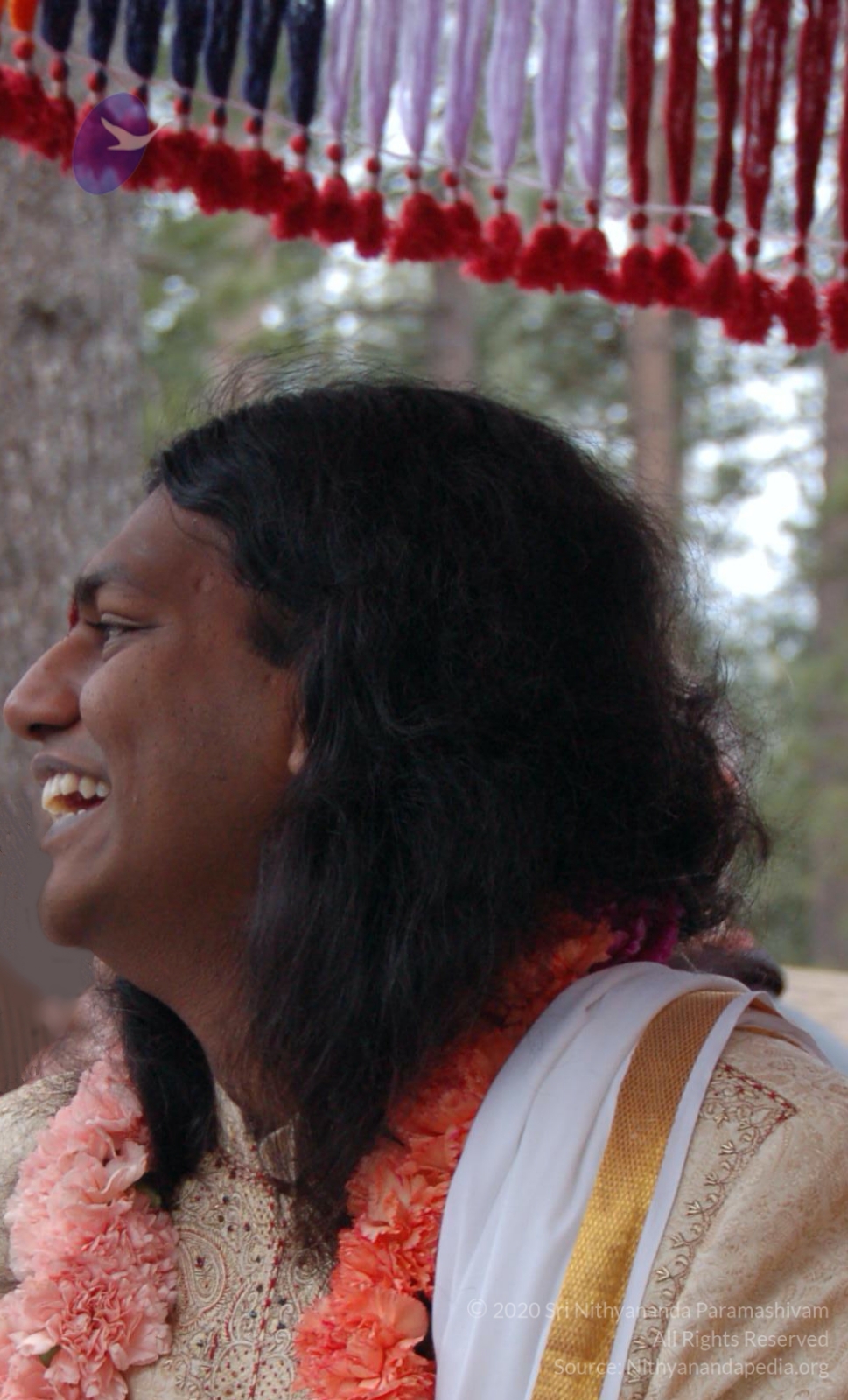 DSC_0164_CMP_WM_DSC_0102_CMP_WM