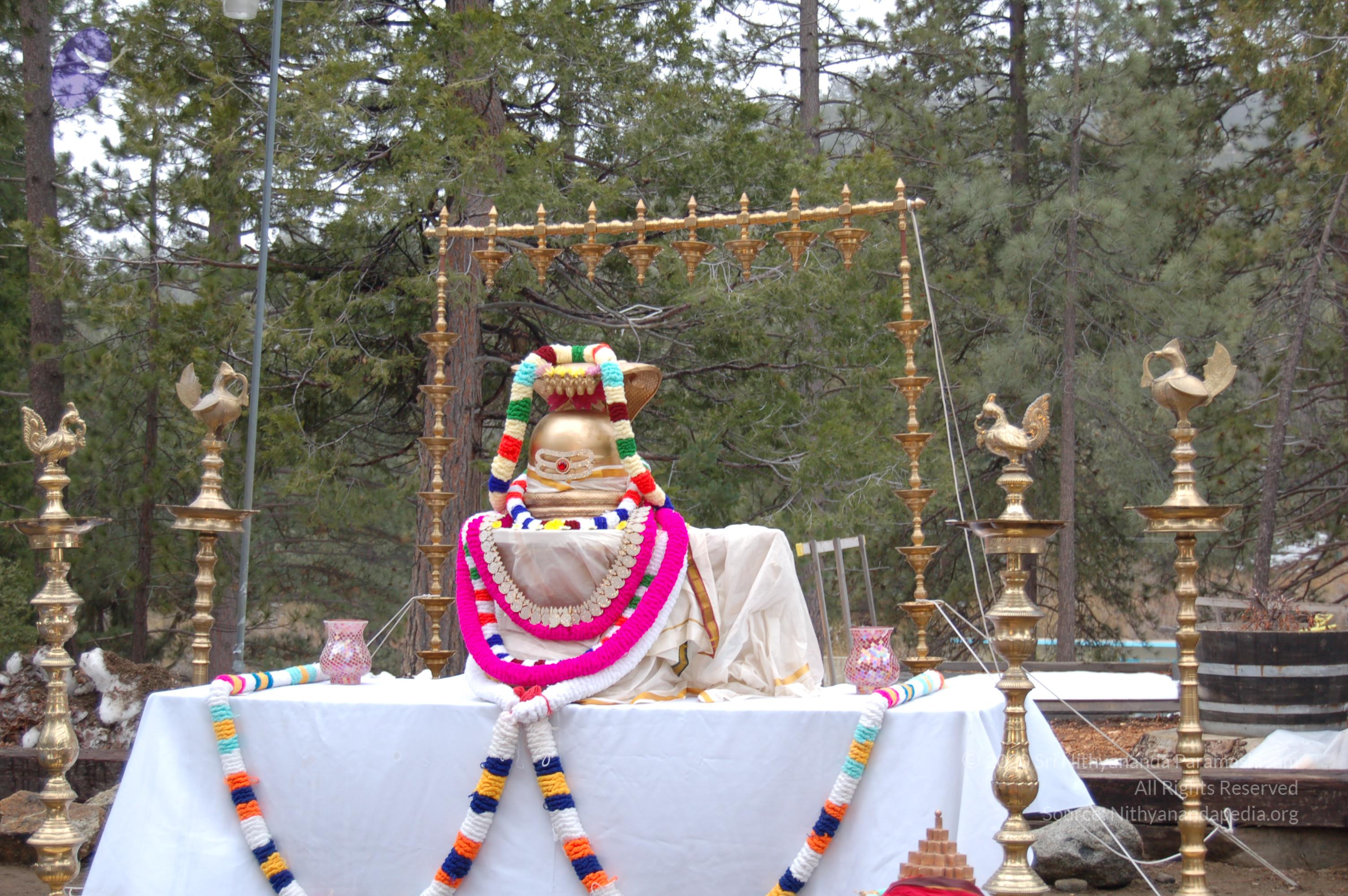 DSC_0182_CMP_WM_DSC_0114_CMP_WM