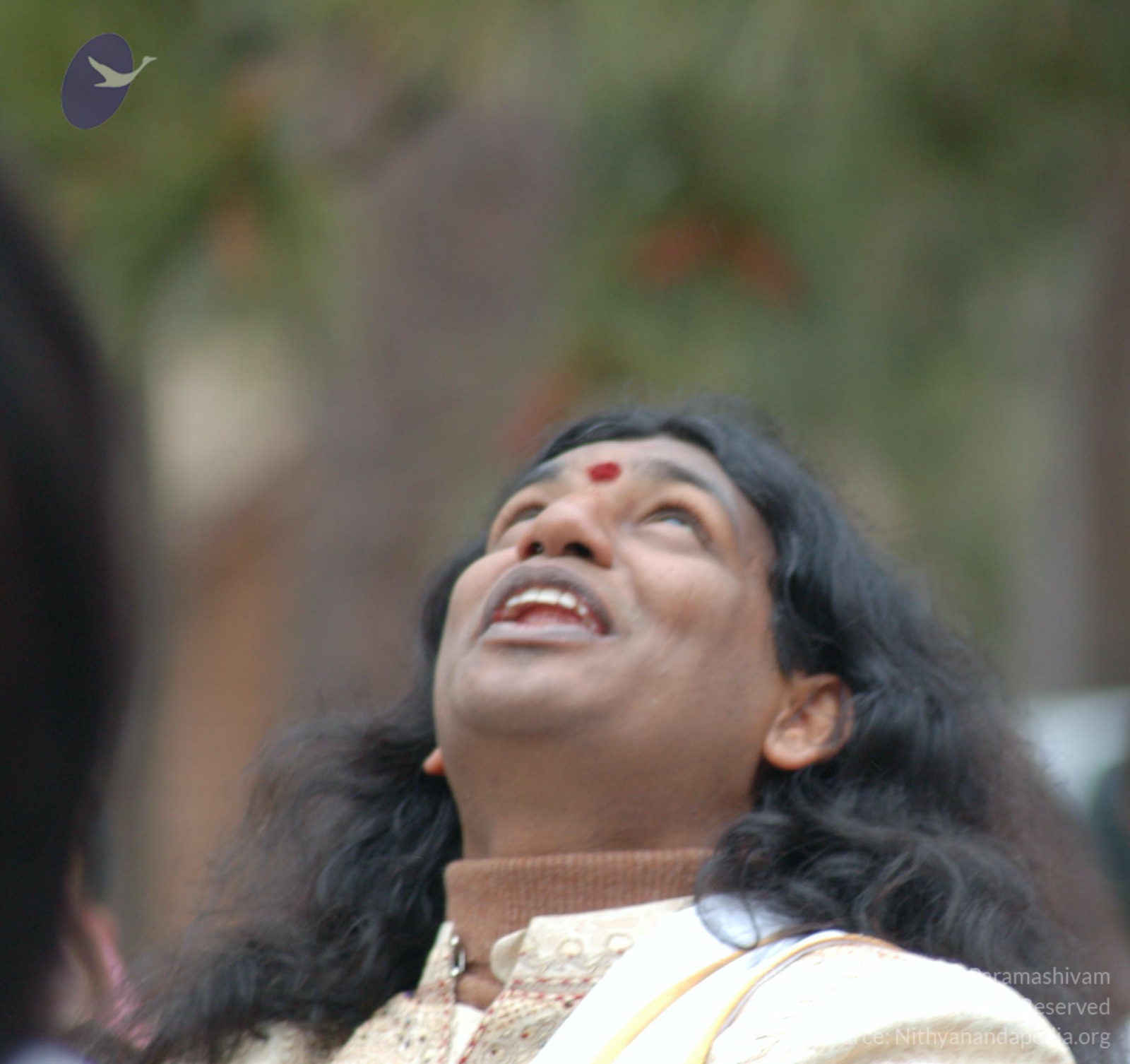 DSC_0217_CMP_WM_DSC_0125_CMP_WM