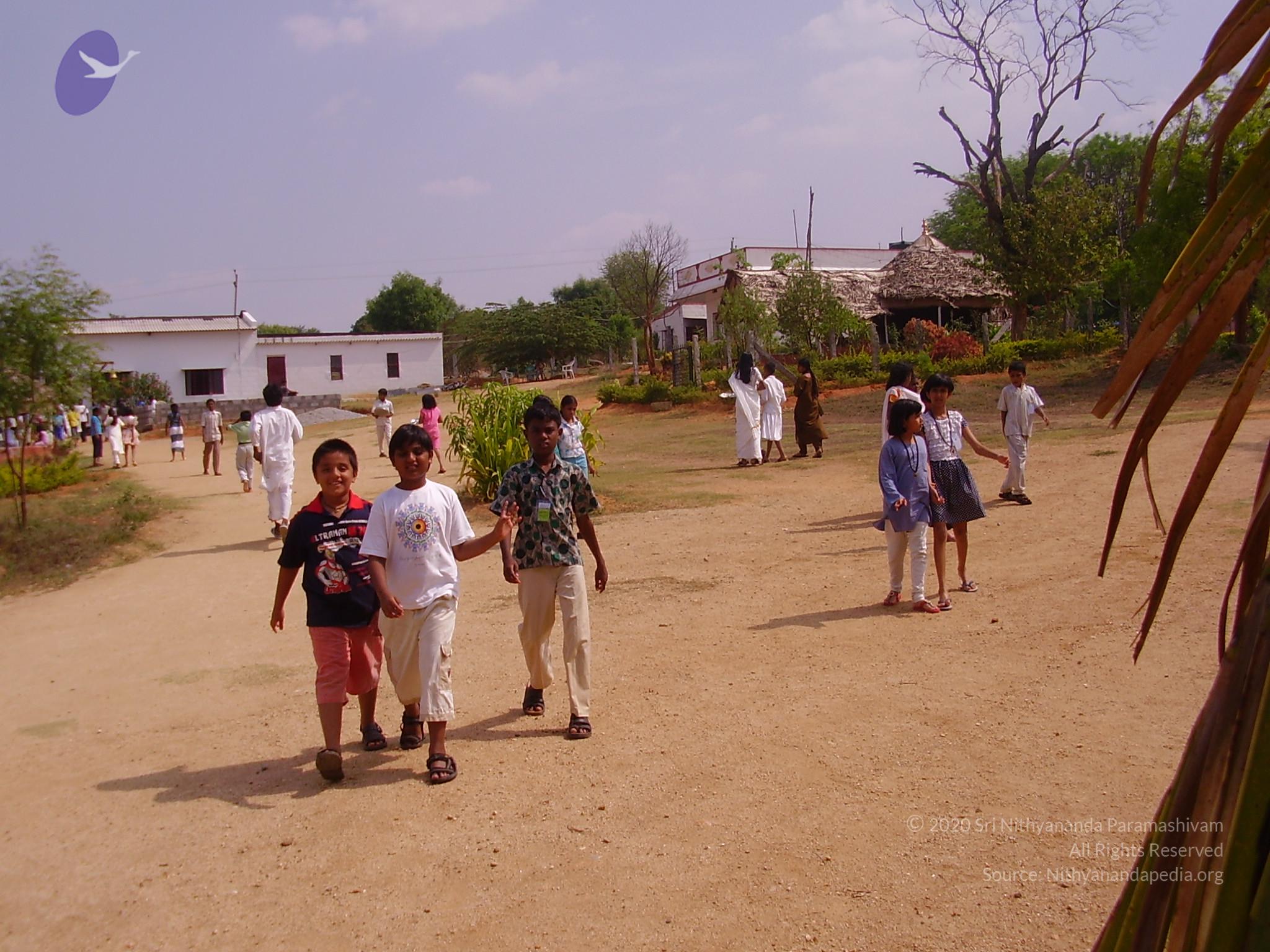 20060503_Photo_1010_P3160237_CMP_WM