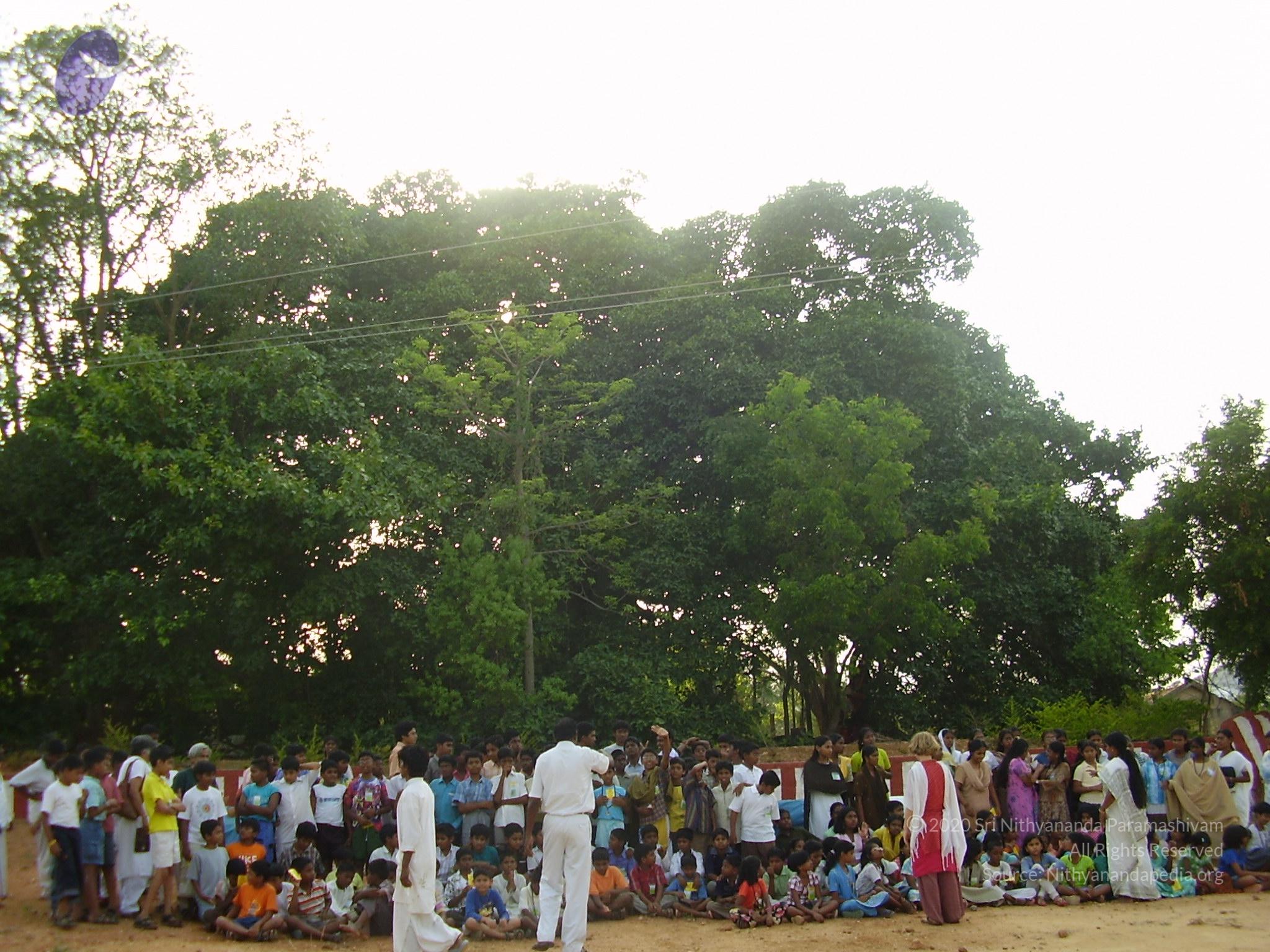 20060503_Photo_1036_P3170314_CMP_WM