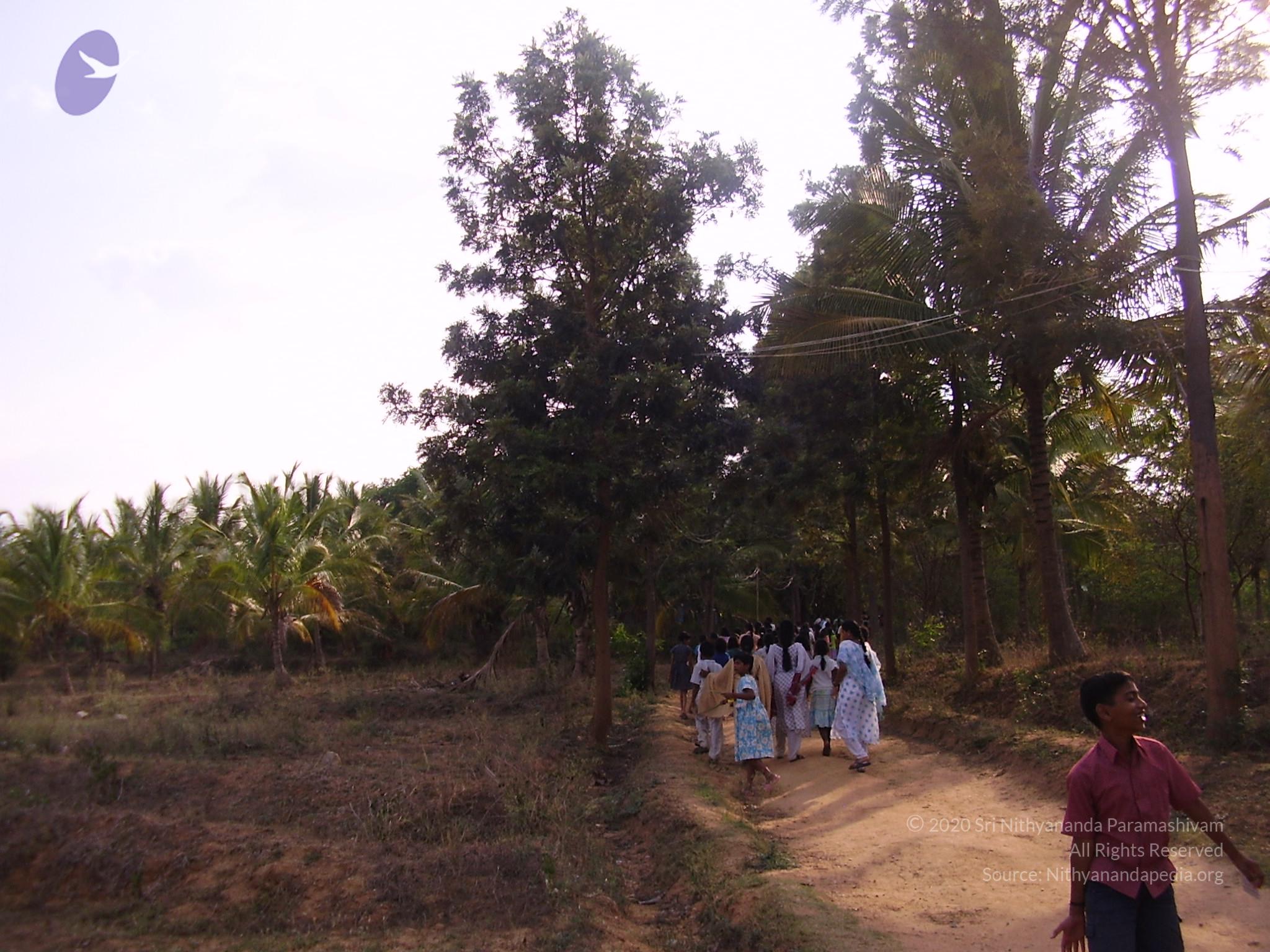 20060503_Photo_1074_P3170292_CMP_WM