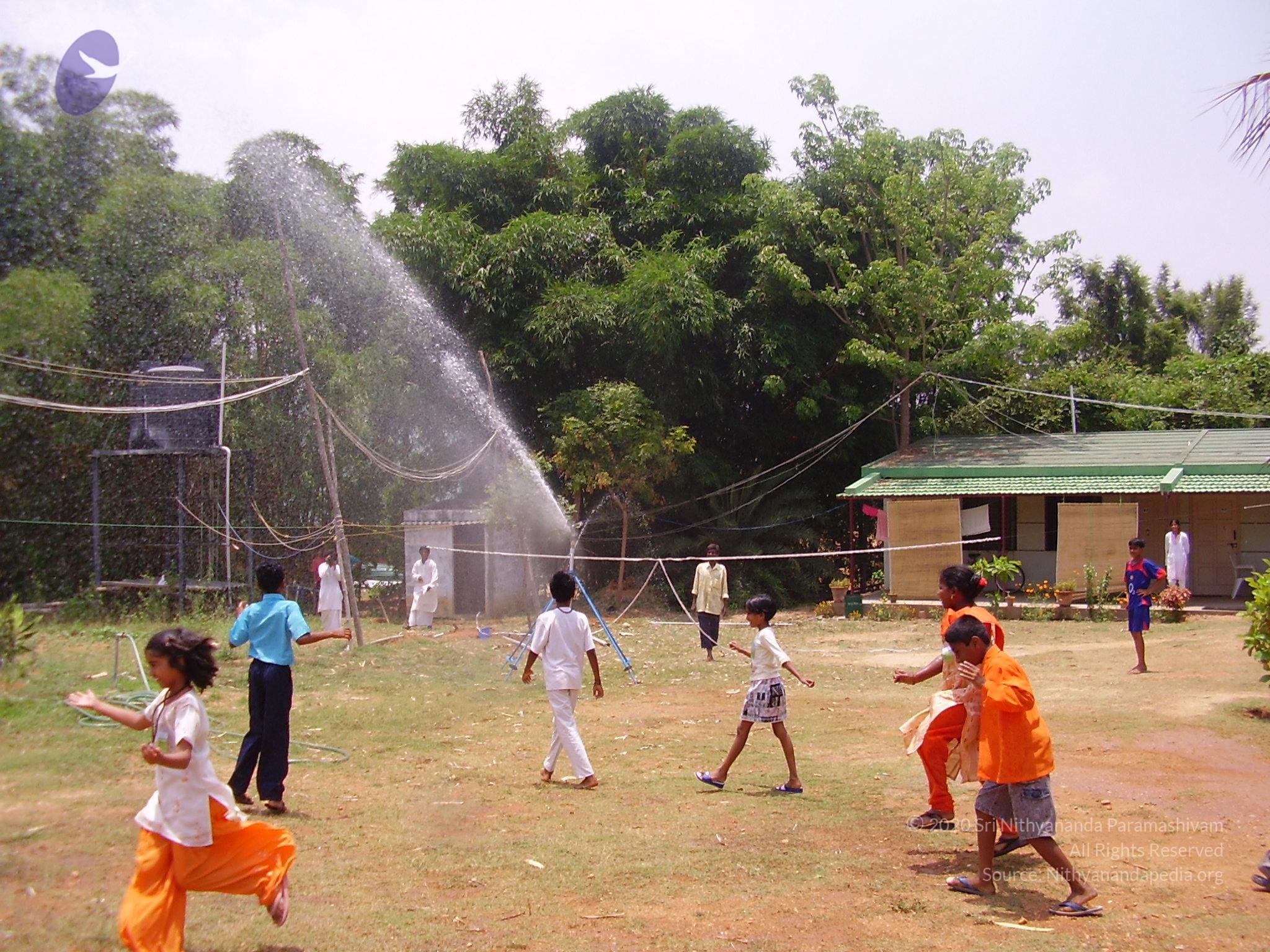 20060503_Photo_1097_P3160113_CMP_WM