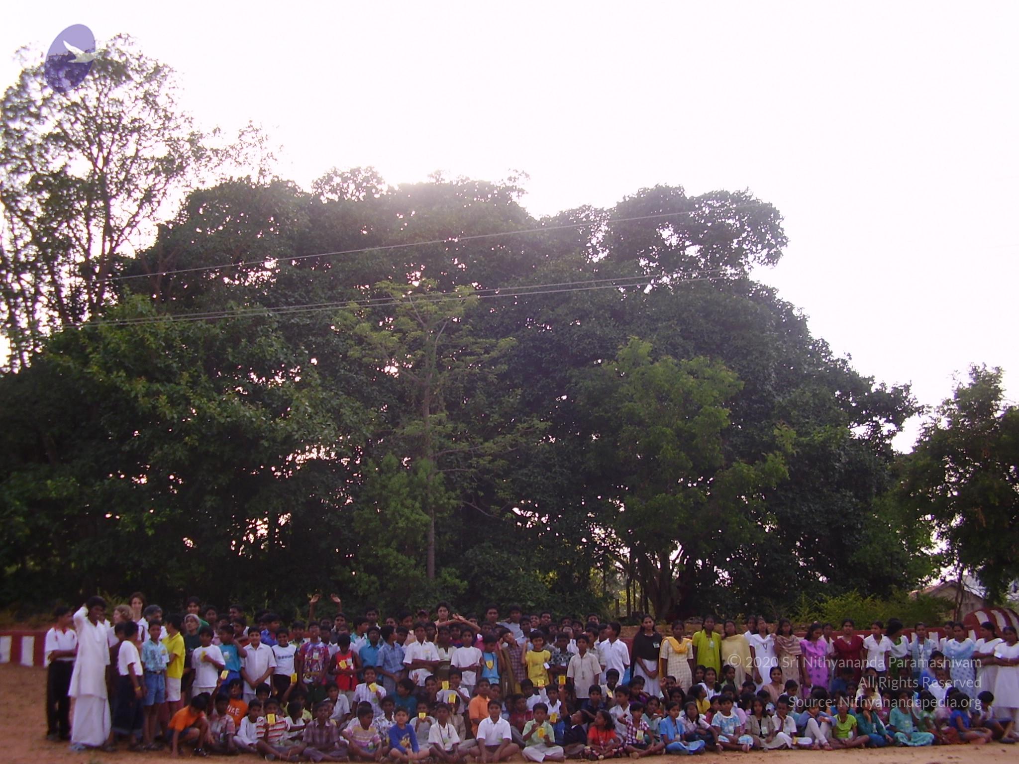 20060503_Photo_1146_P3170317_CMP_WM