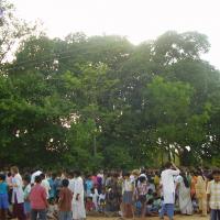 20060503_Photo_1102_P3170309_CMP_WM