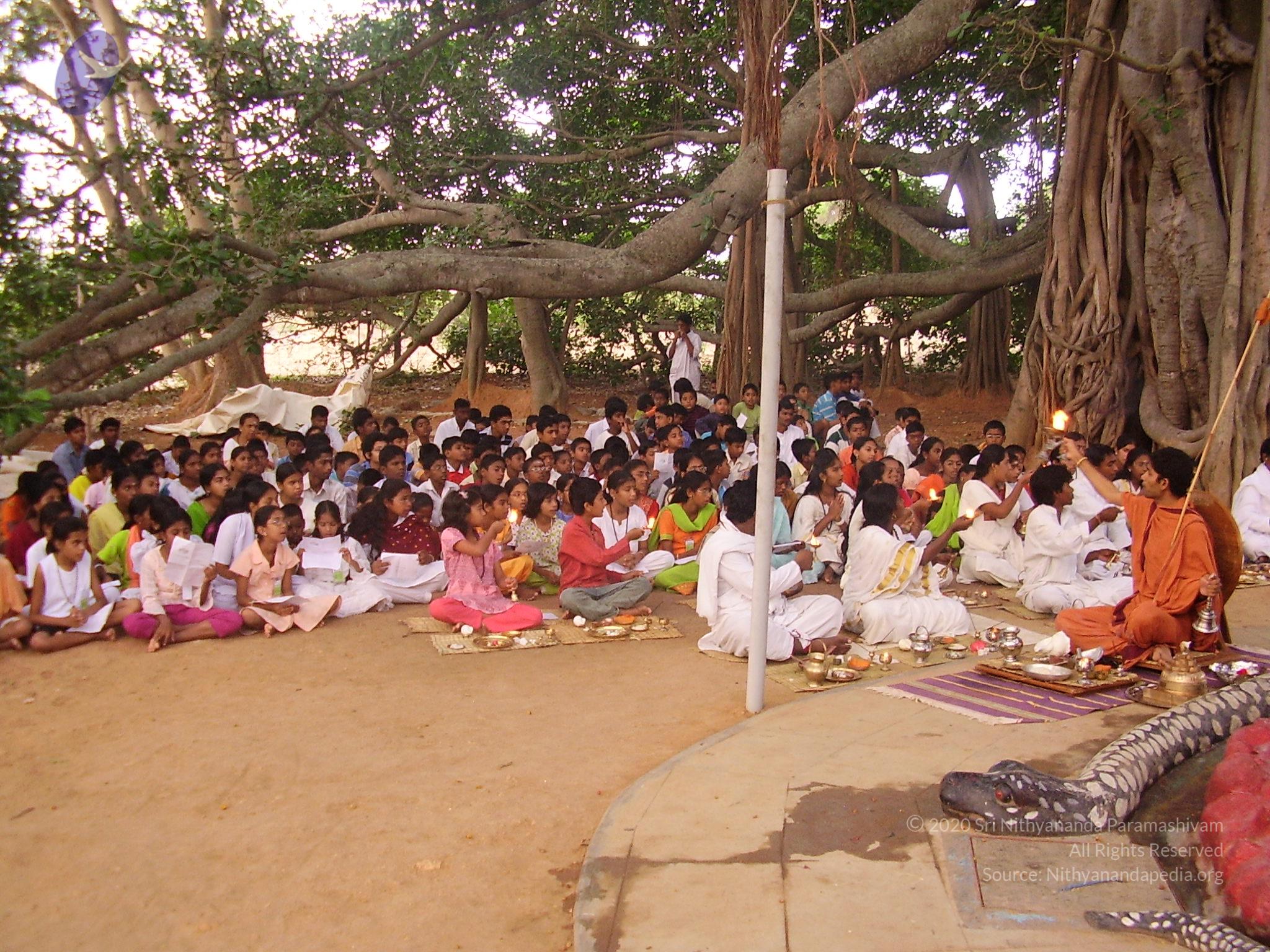 20060504_Photo_1004_P3170053_CMP_WM