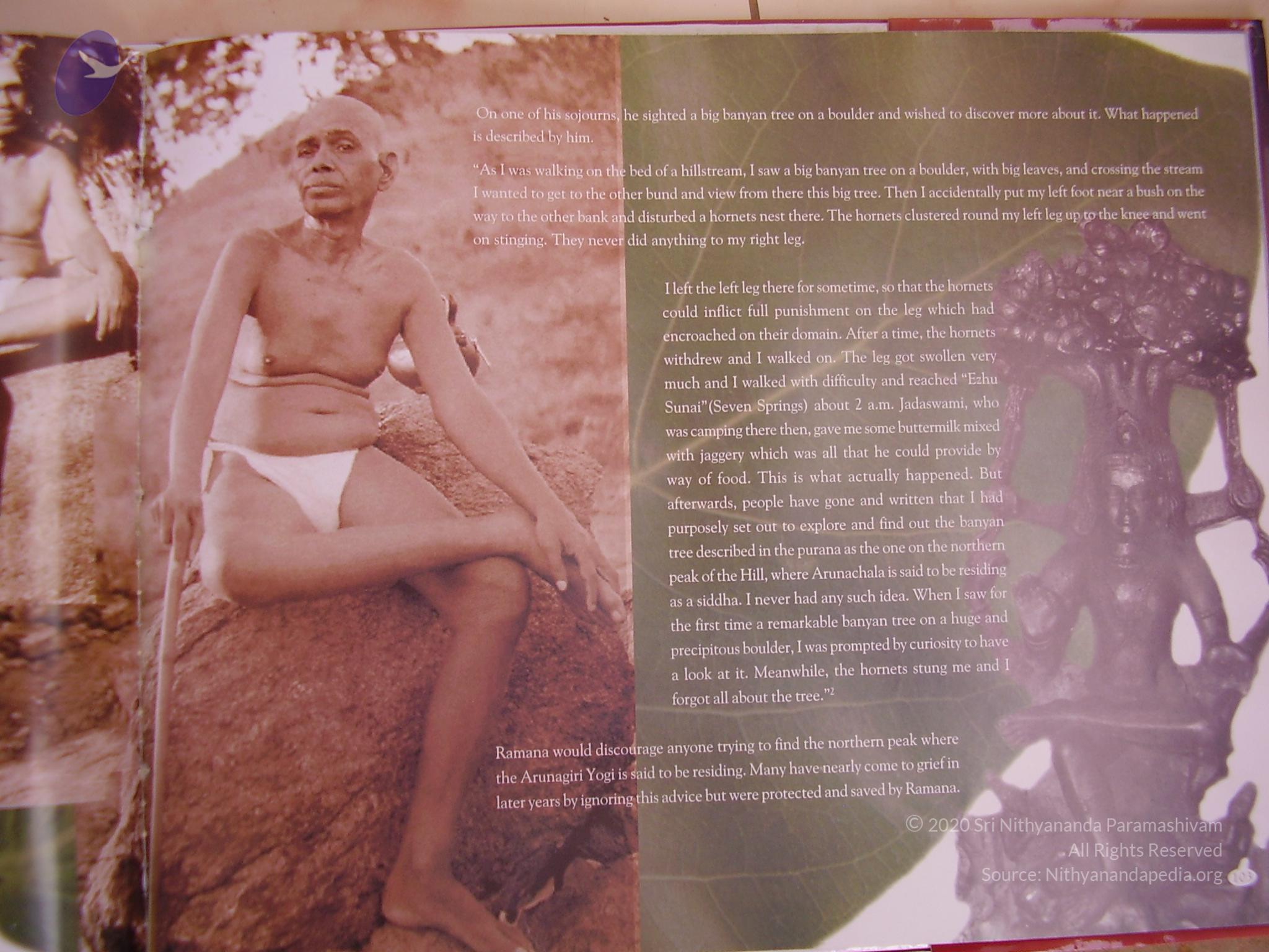 20060504_Photo_1019_P3170069_CMP_WM