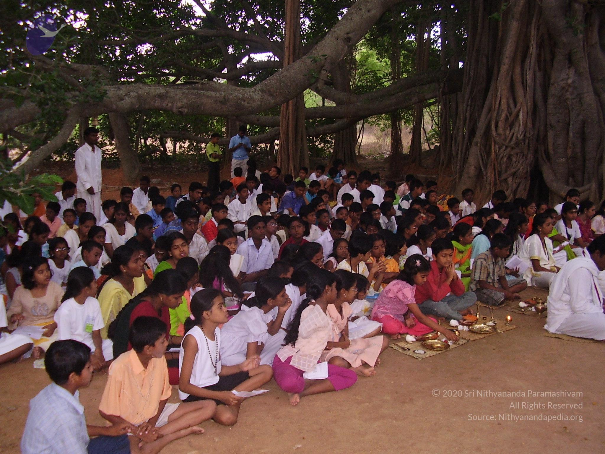 20060504_Photo_1023_P3170047_CMP_WM