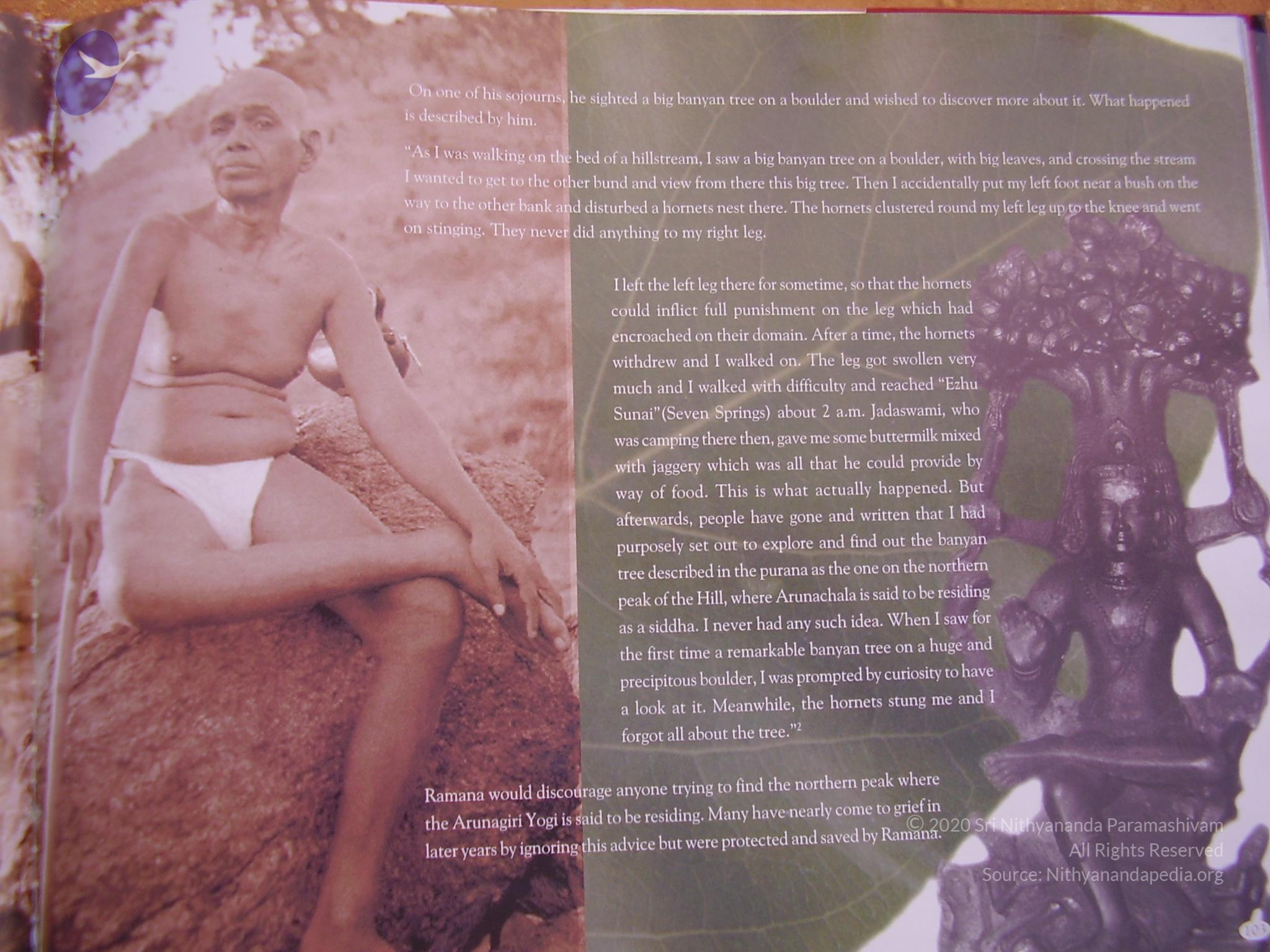 20060504_Photo_1024_P3170070_CMP_WM