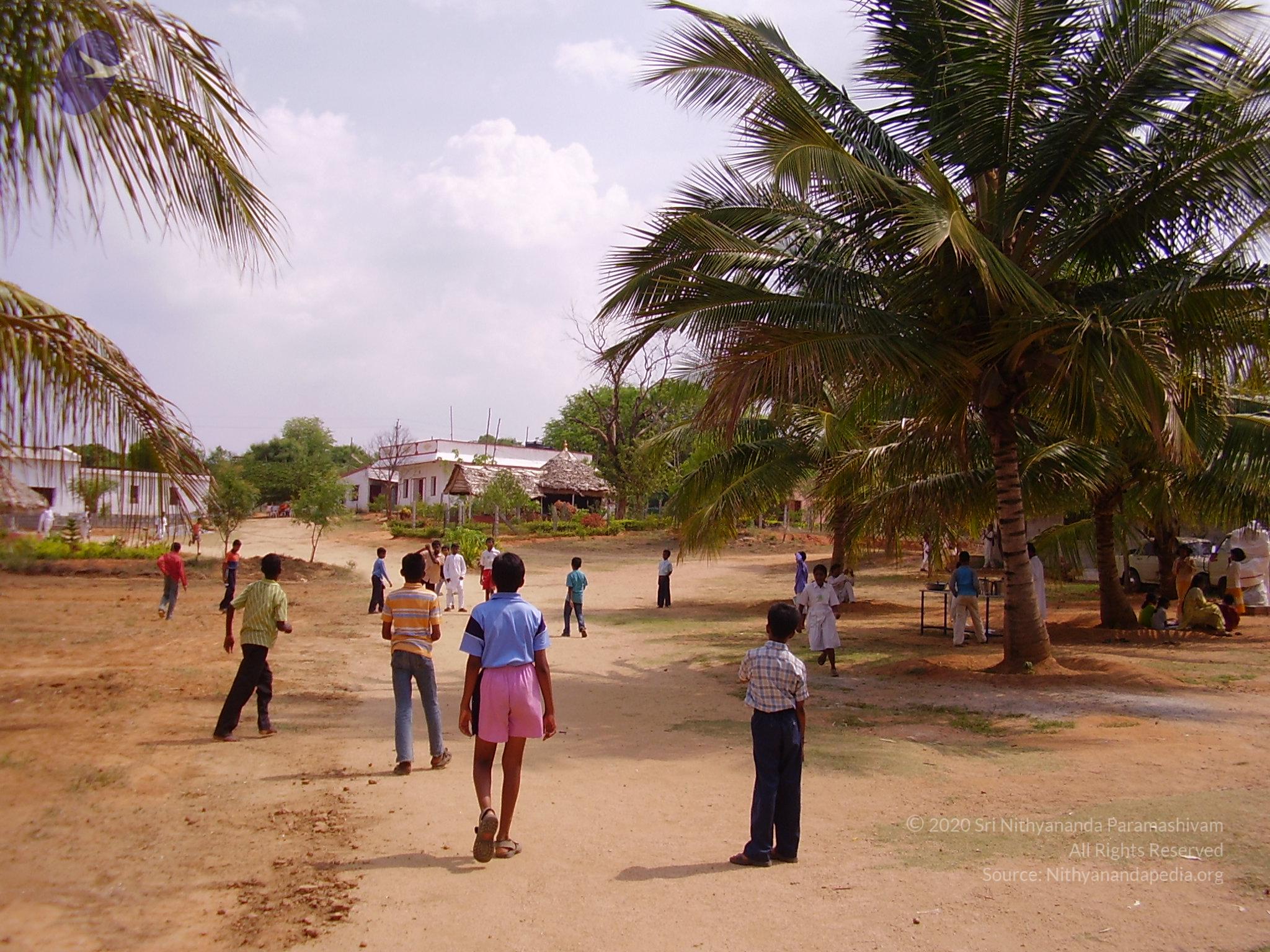 20060504_Photo_1043_P3170003_CMP_WM