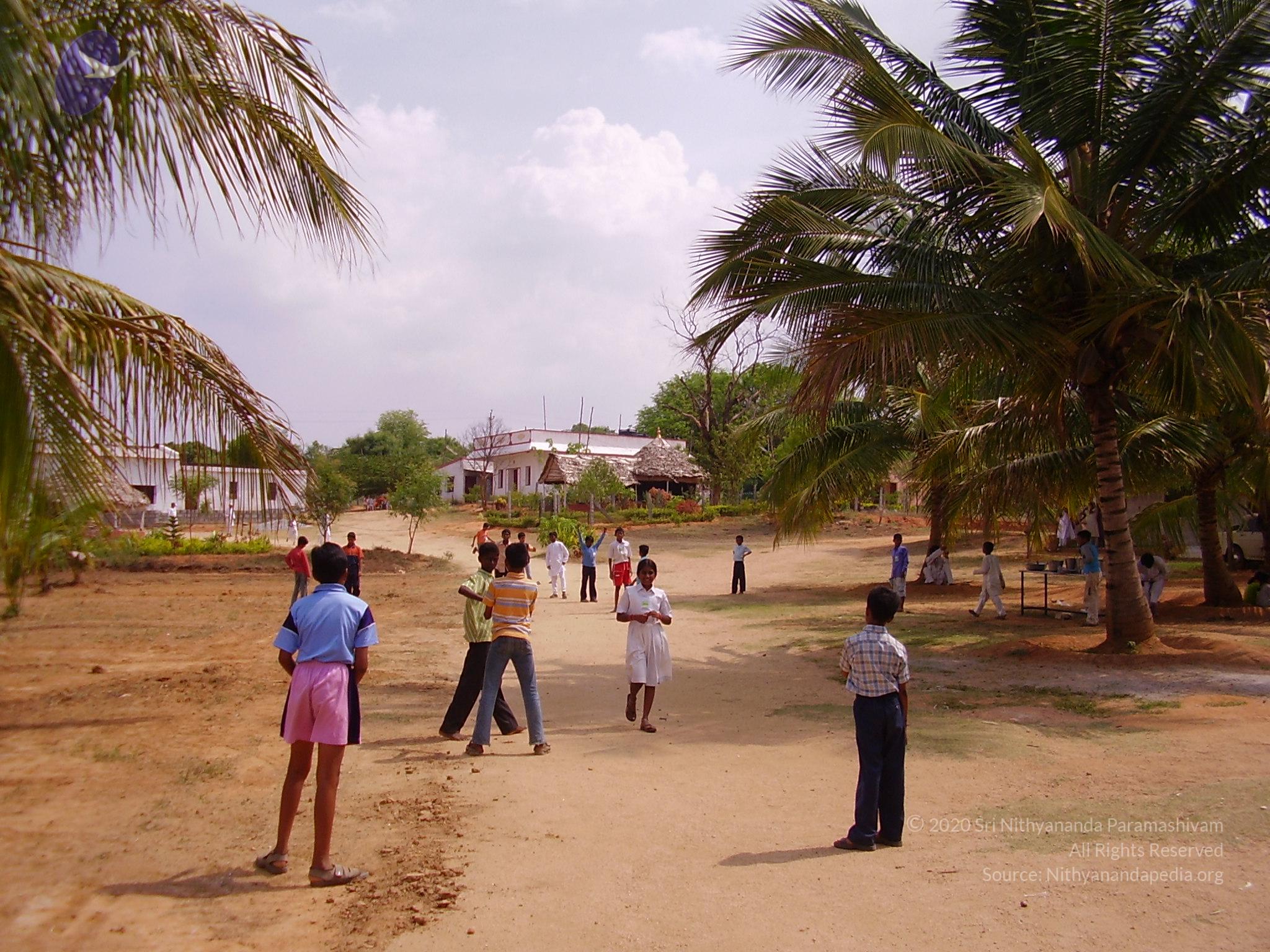 20060504_Photo_1050_P3170004_CMP_WM