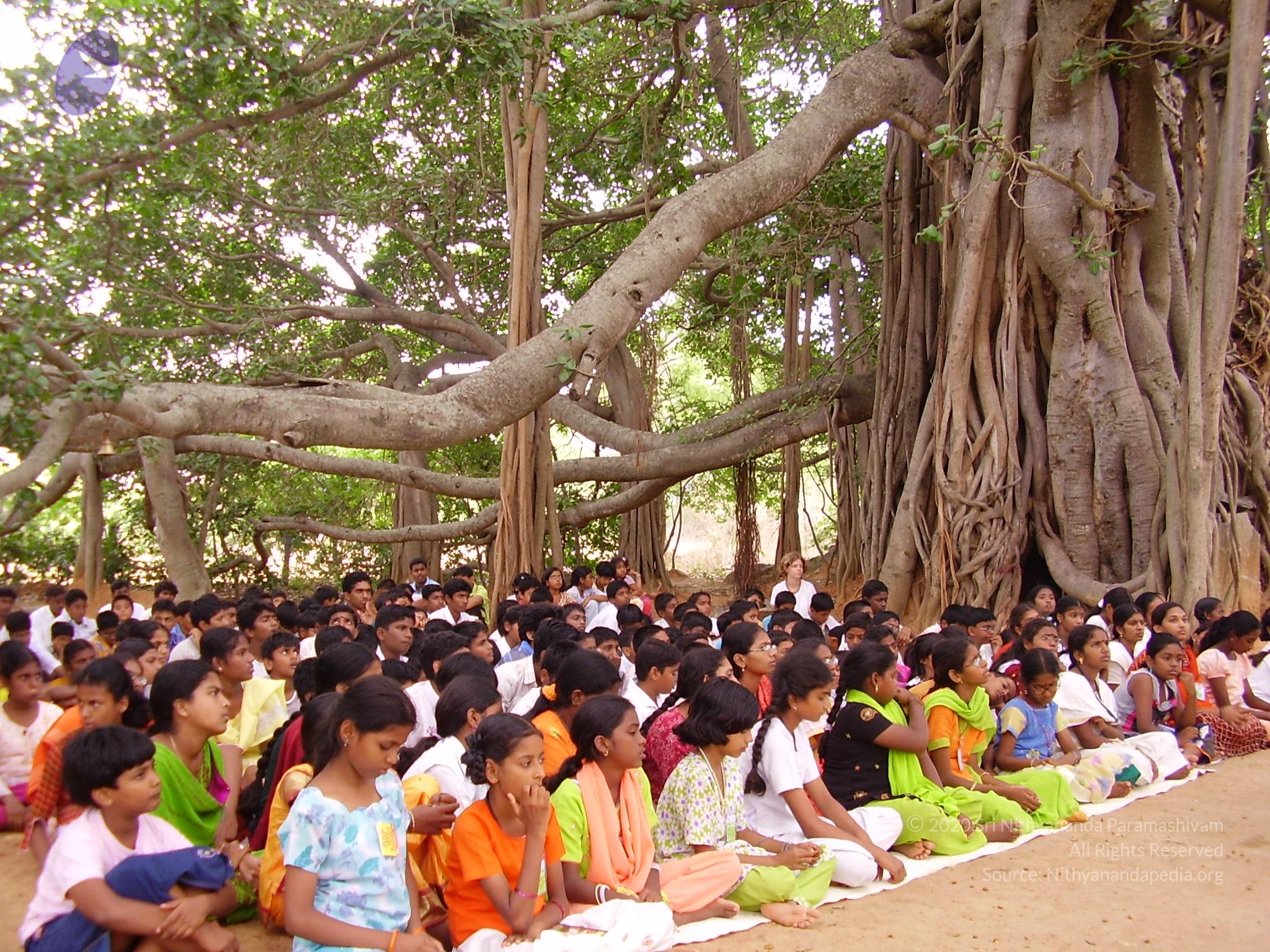 20060504_Photo_1055_P3170099_CMP_WM