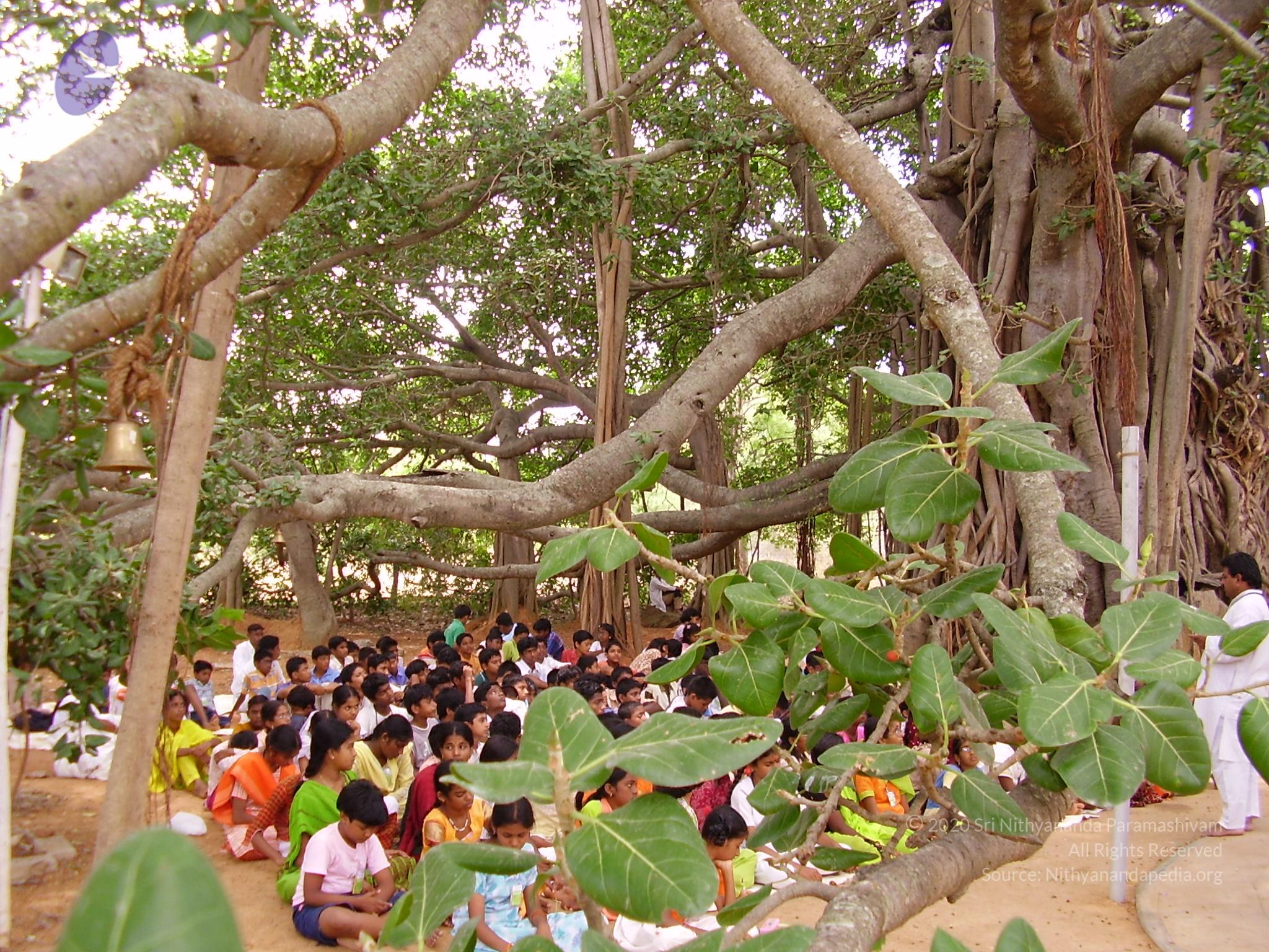 20060504_Photo_1056_P3170159_CMP_WM