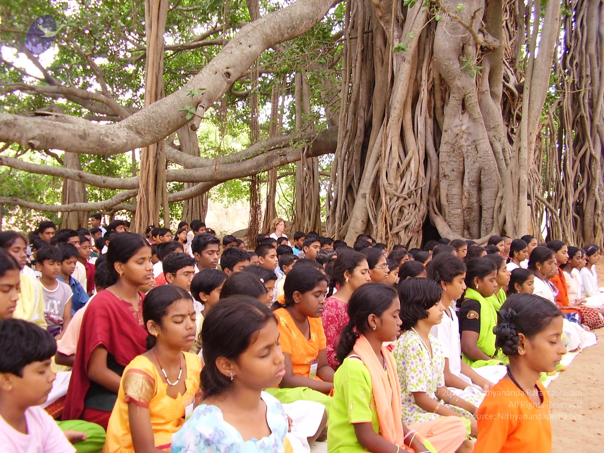 20060504_Photo_1076_P3170104_CMP_WM