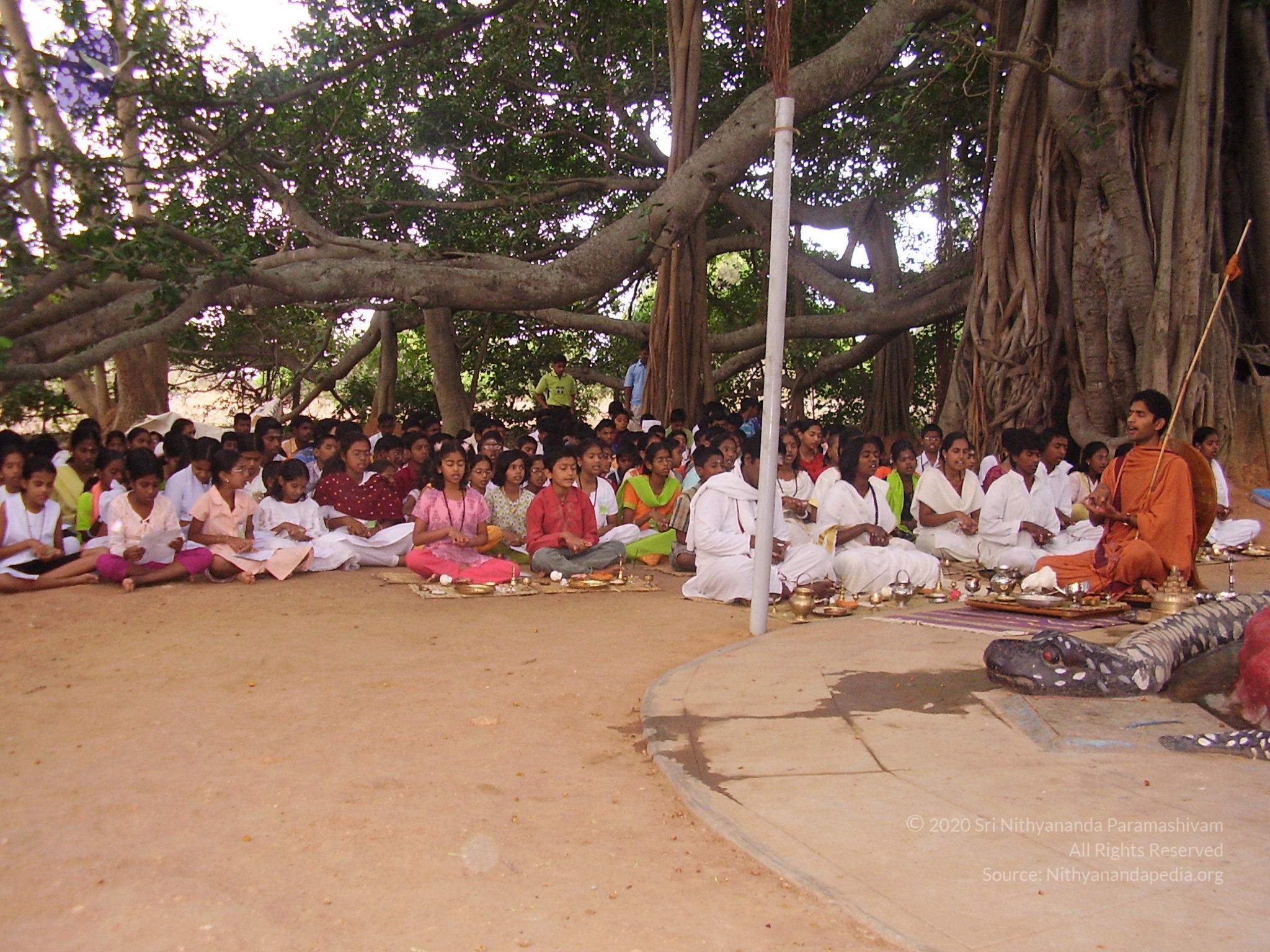 20060504_Photo_1092_P3170048_CMP_WM