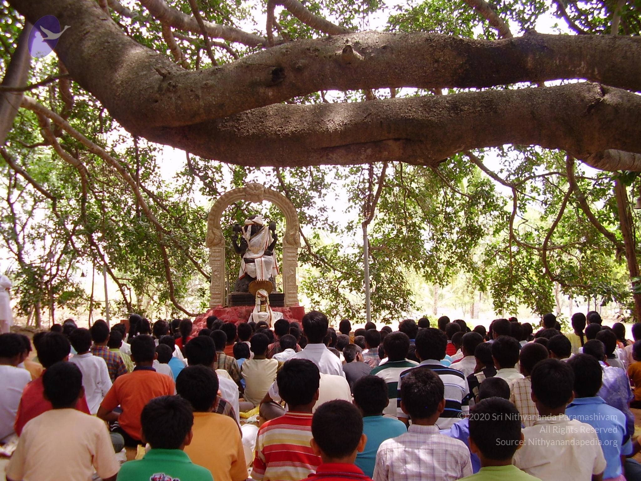 20060504_Photo_1096_P3170130_CMP_WM