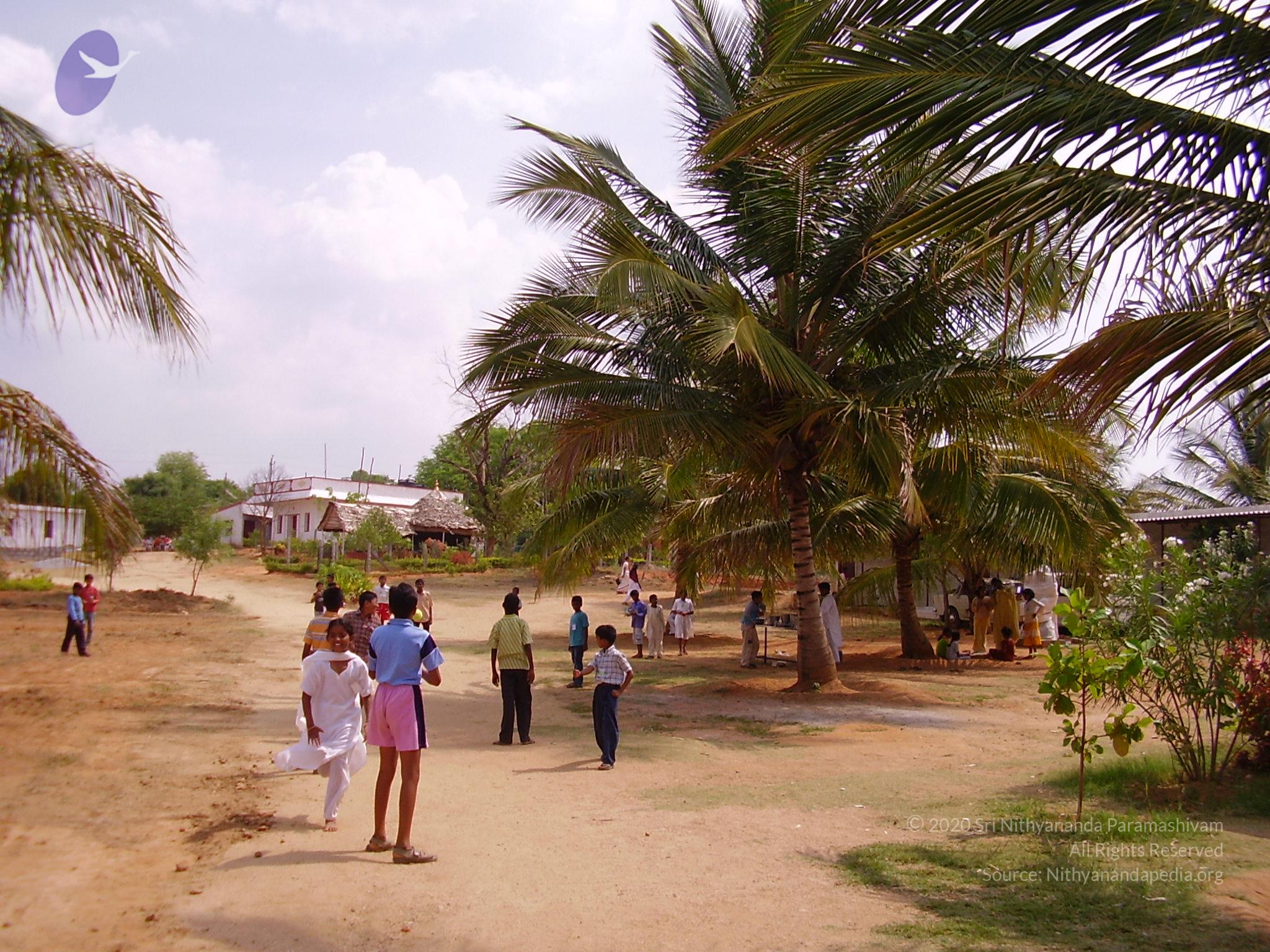 20060504_Photo_1107_P3170002_CMP_WM