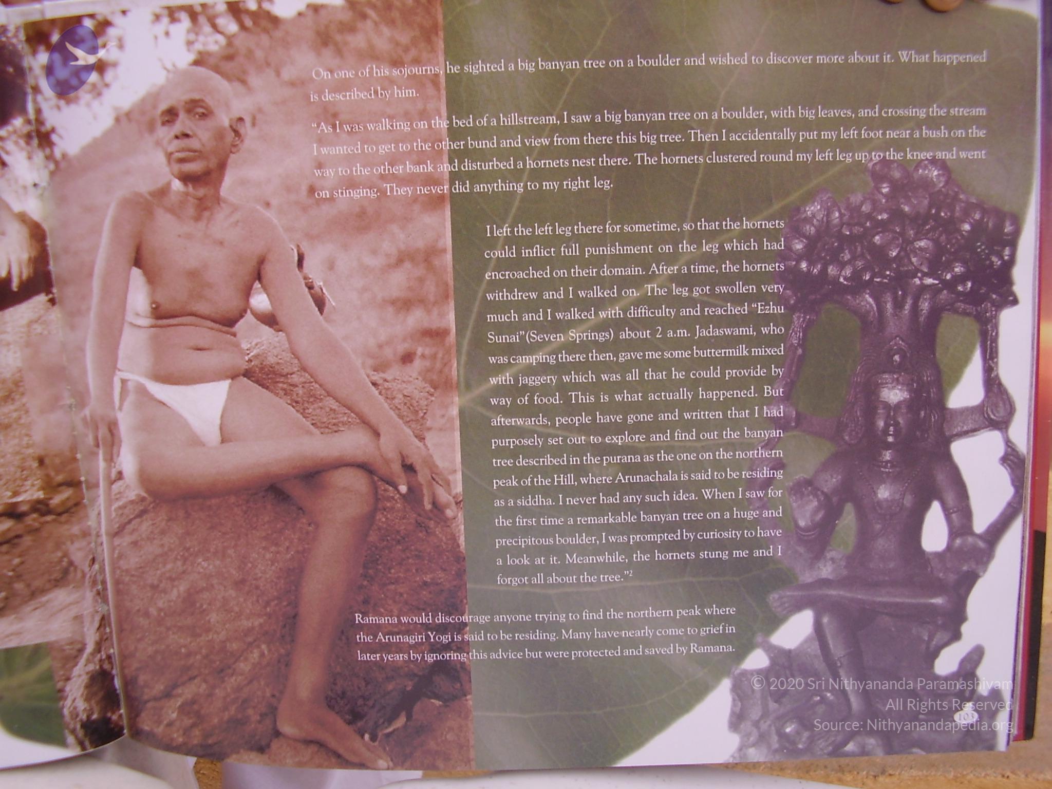 20060504_Photo_1131_P3170068_CMP_WM