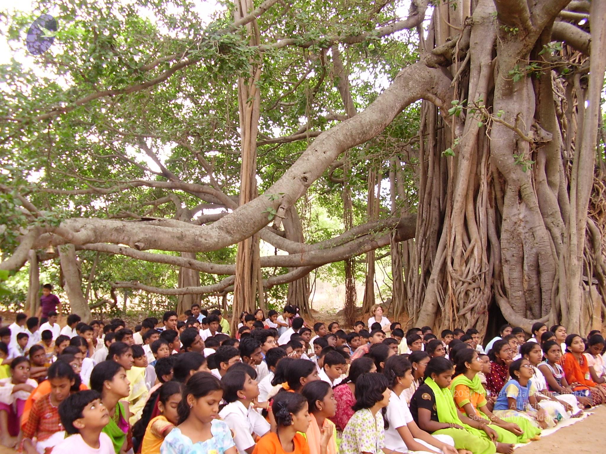 20060504_Photo_1133_P3170097_CMP_WM