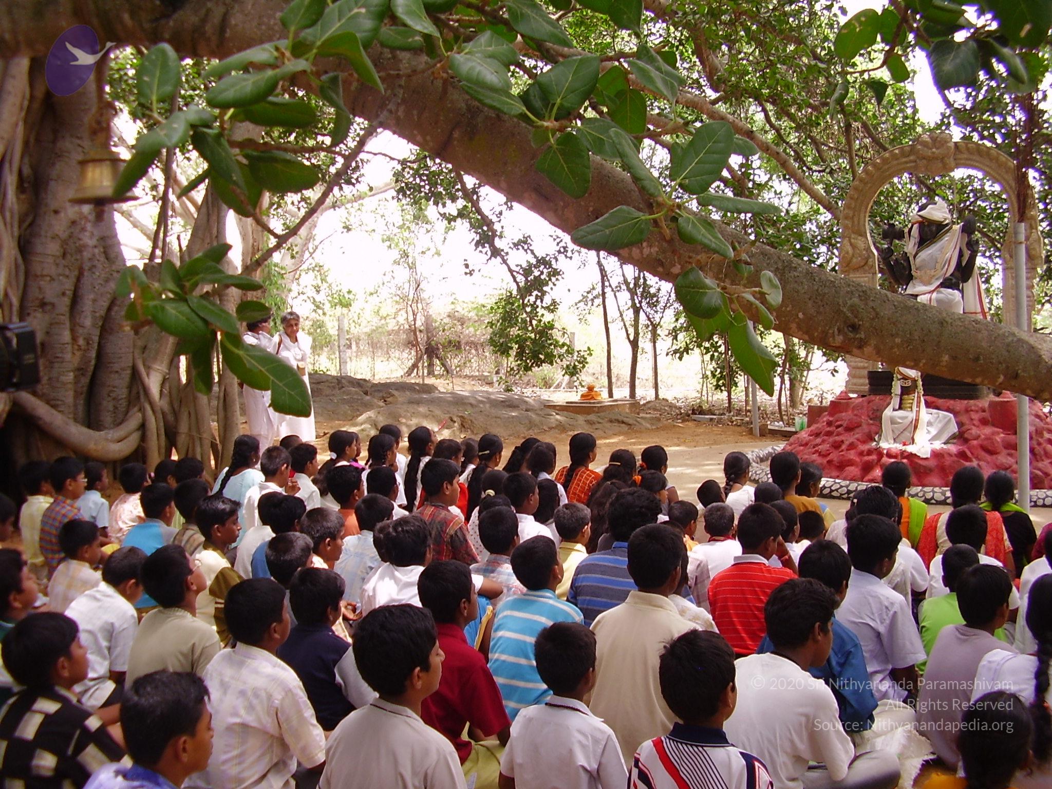 20060504_Photo_1152_P3170123_CMP_WM