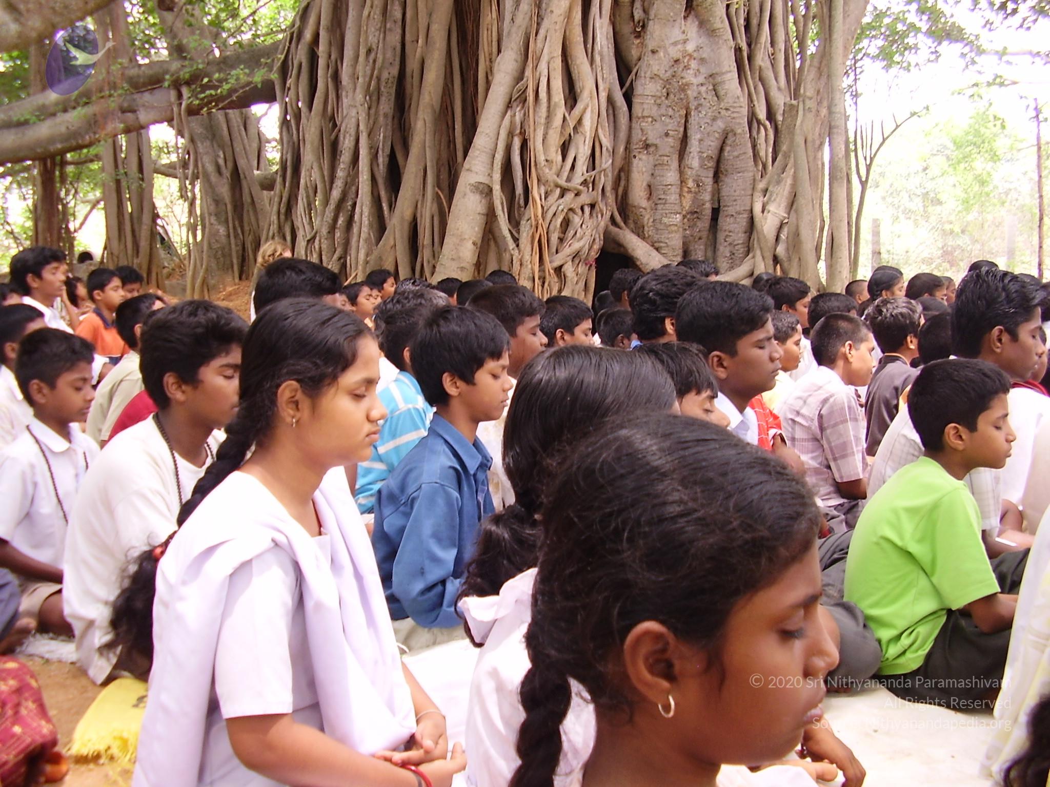 20060504_Photo_1153_P3170114_CMP_WM