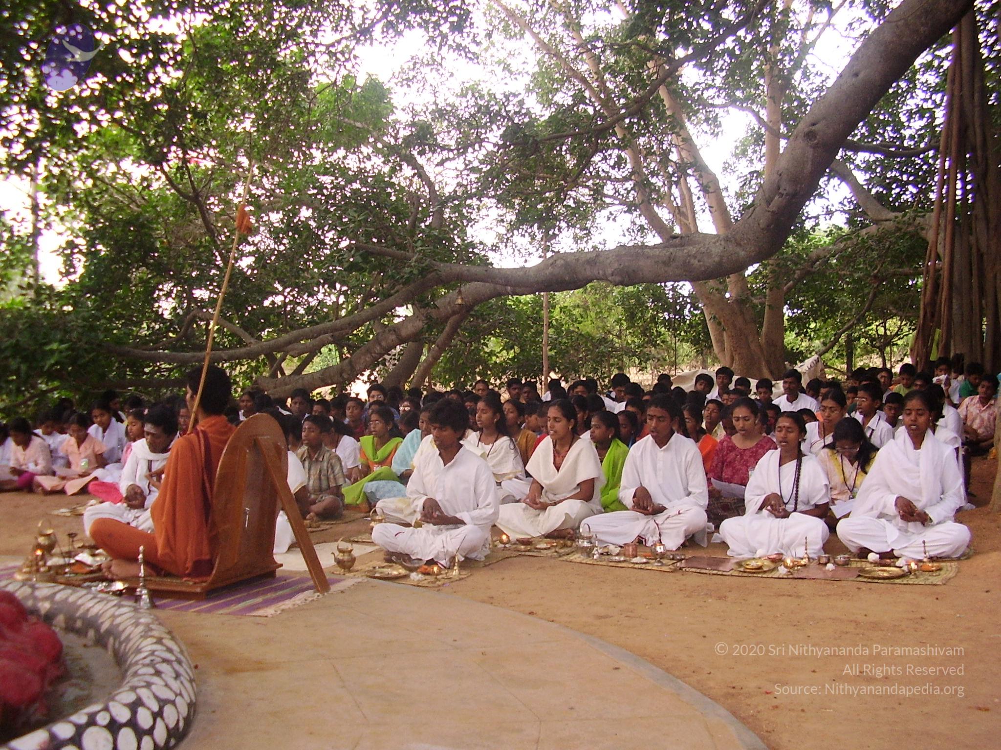 20060504_Photo_1155_P3170049_CMP_WM