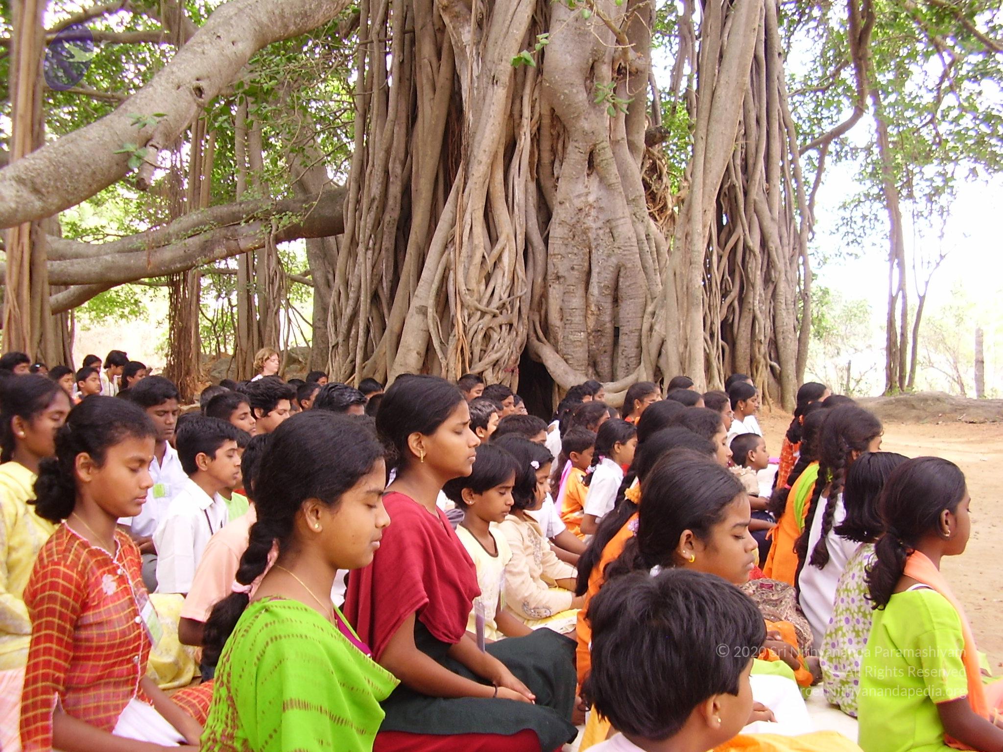 20060504_Photo_1157_P3170108_CMP_WM