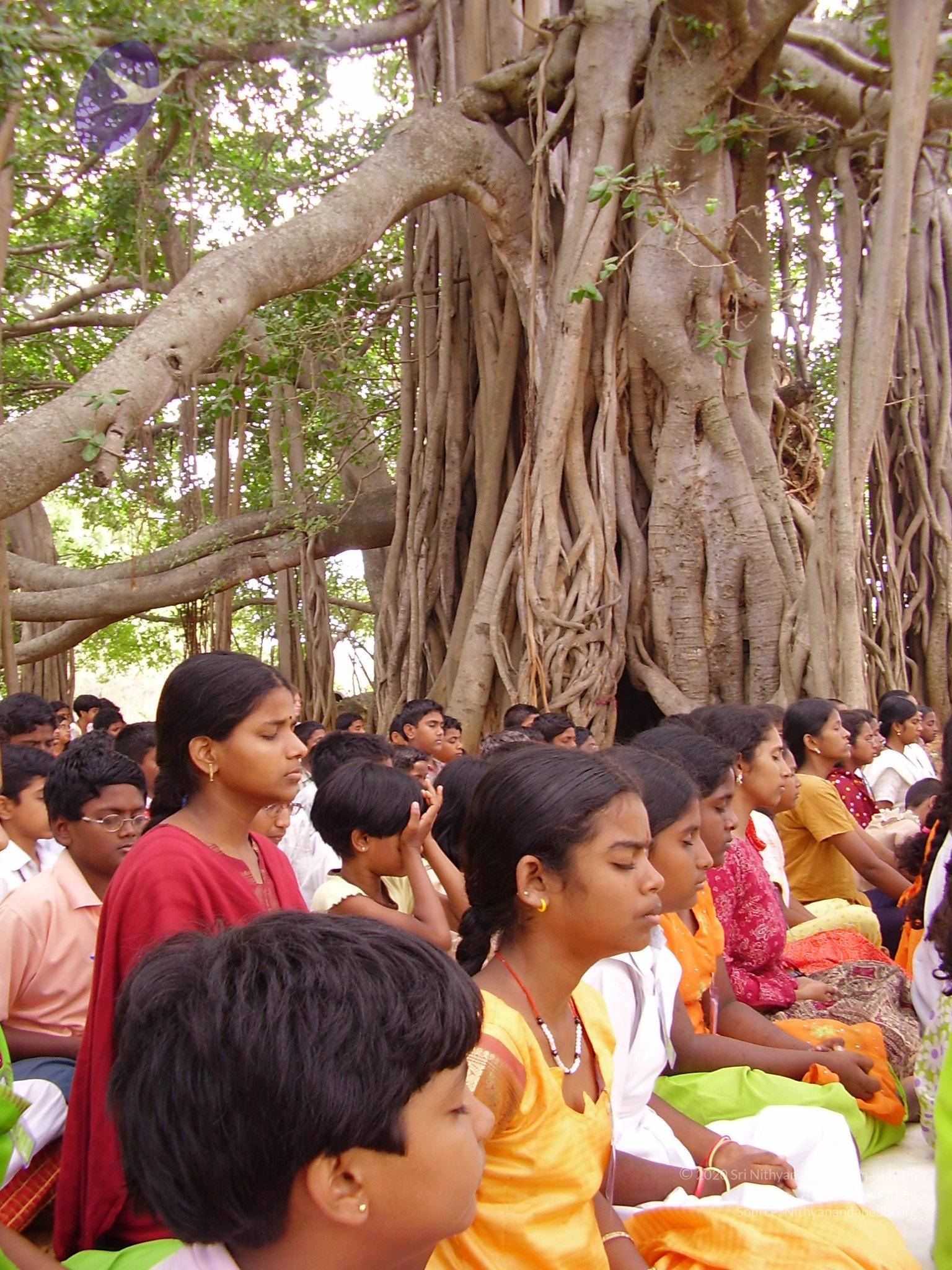 20060504_Photo_1165_P3170111_CMP_WM