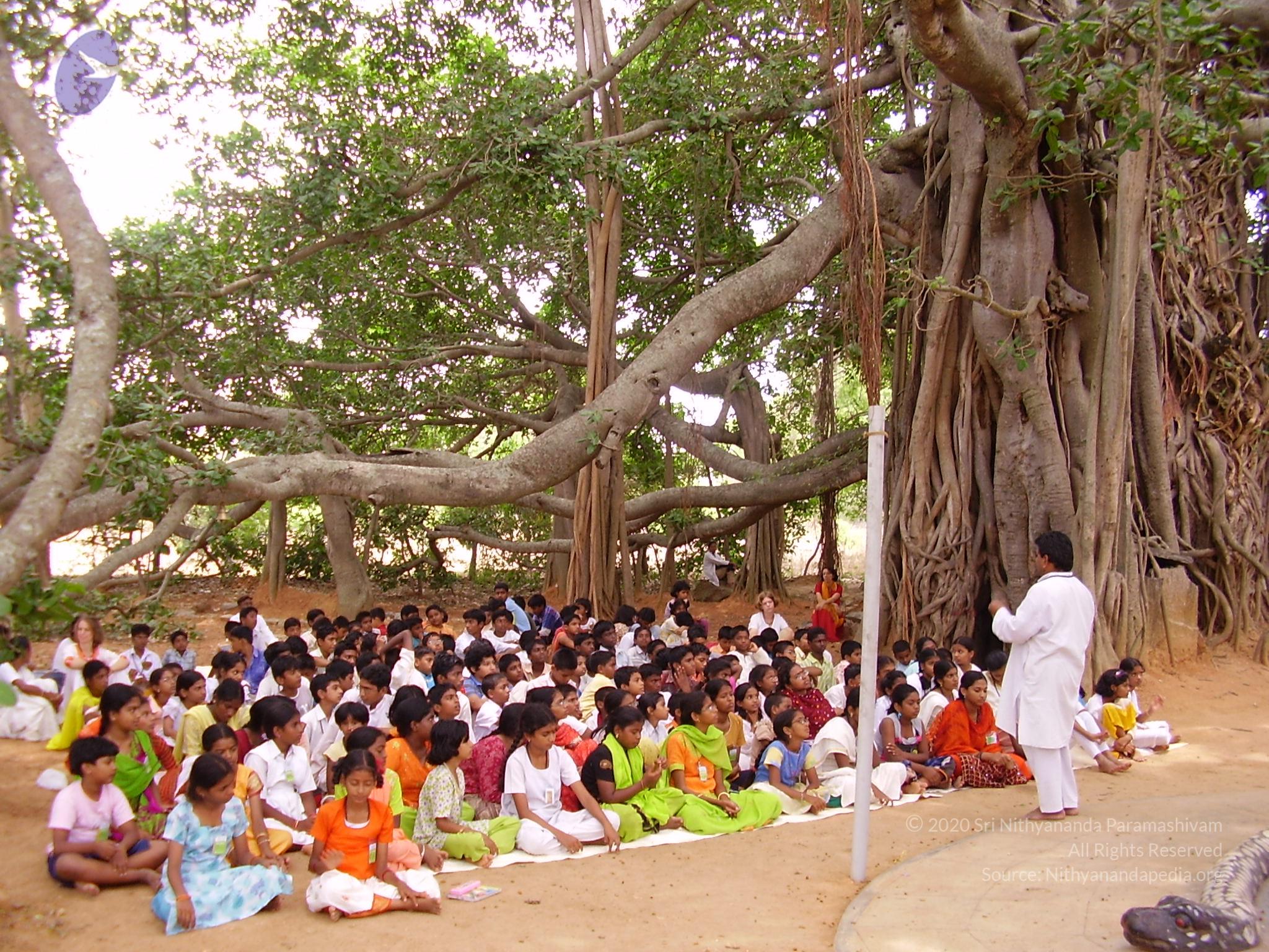 20060504_Photo_1168_P3170158_CMP_WM