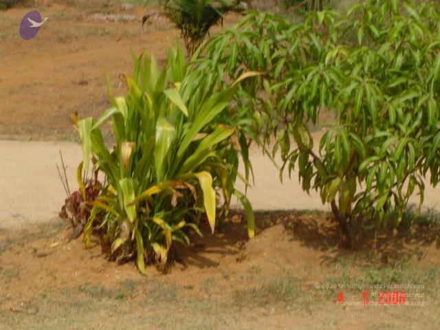 20060504_Photo_1179_DSC02169_CMP_WM