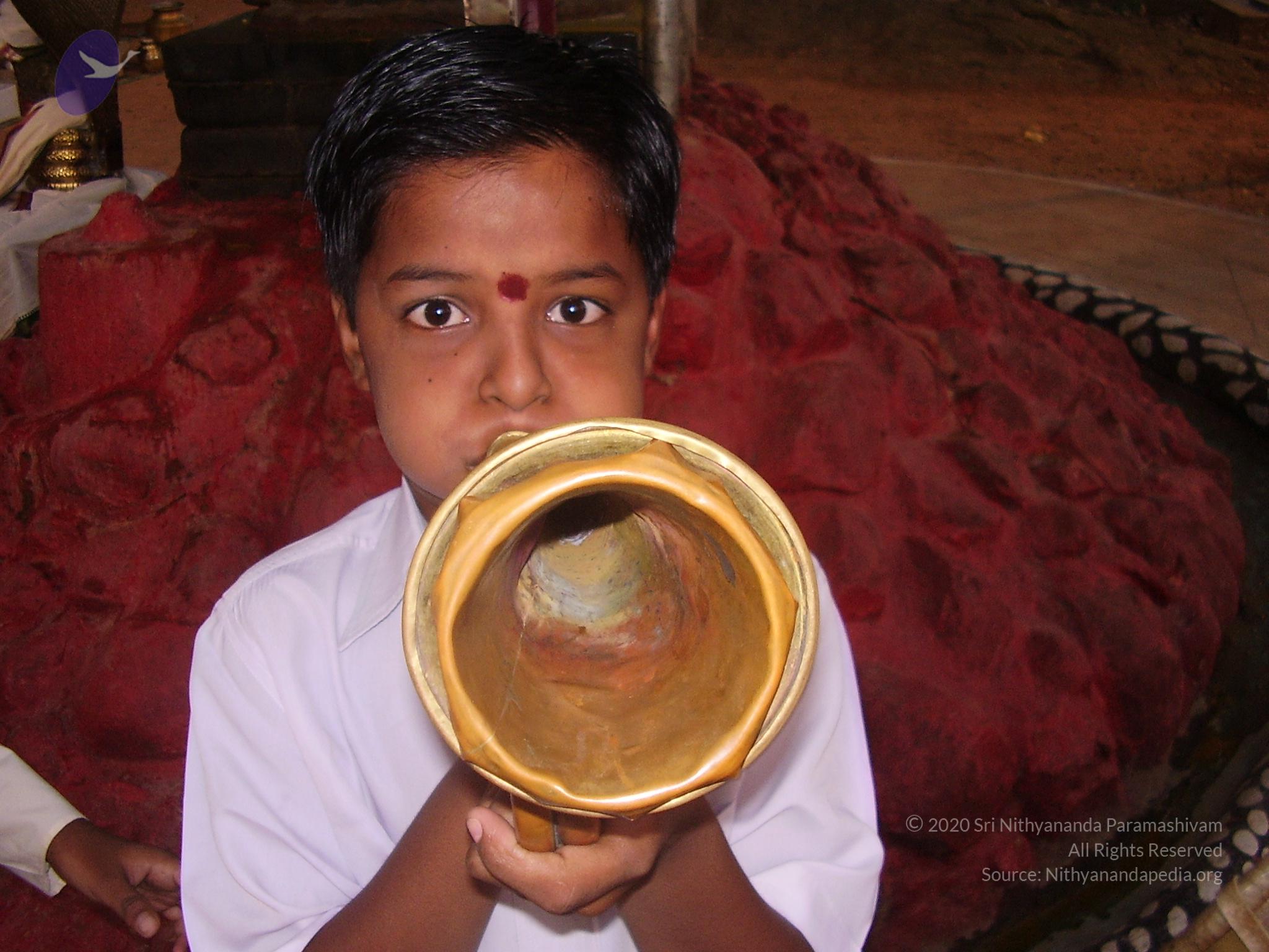 20060504_Photo_1180_P3170041_CMP_WM