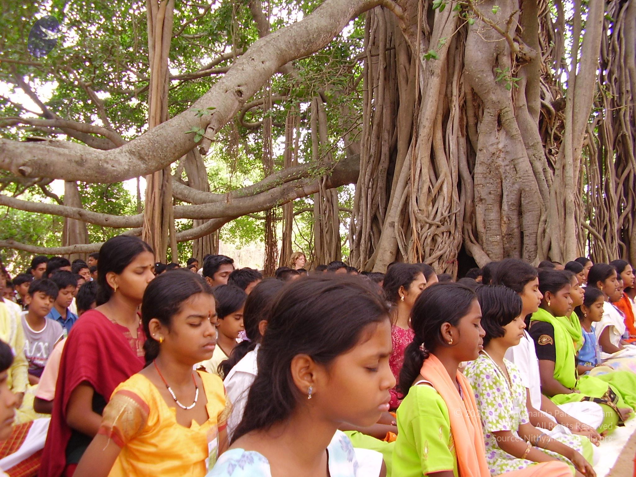 20060504_Photo_1022_P3170106_CMP_WM