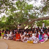 20060504_Photo_1074_P3170091_CMP_WM