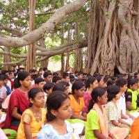 20060504_Photo_1076_P3170104_CMP_WM