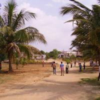 20060504_Photo_1090_P3170001_CMP_WM