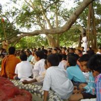 20060504_Photo_1141_DSC02064_CMP_WM