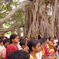 20060504_Photo_1165_P3170111_CMP_WM