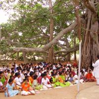 20060504_Photo_1168_P3170158_CMP_WM