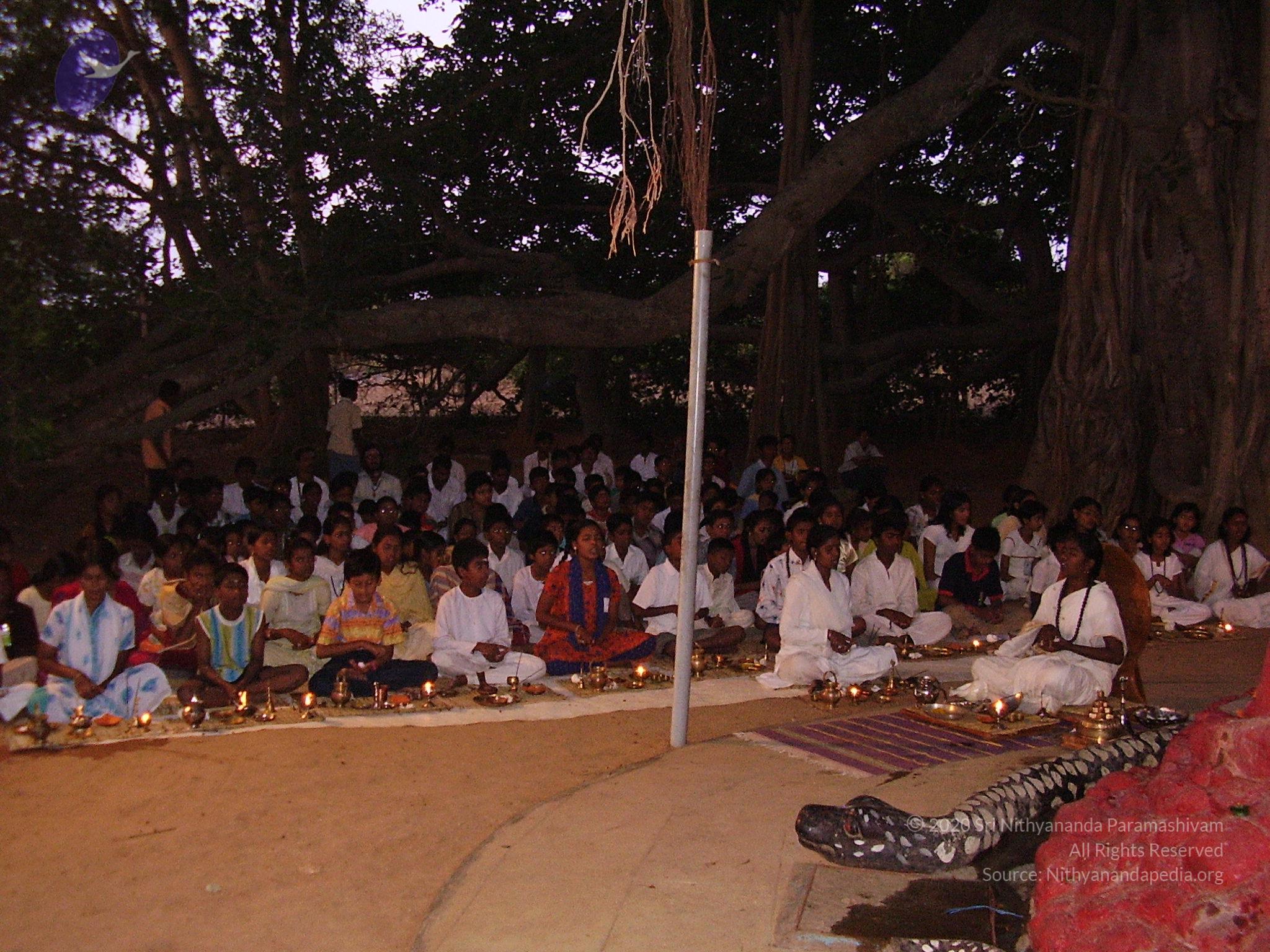 20060505_Photo_1010_P3180025_CMP_WM