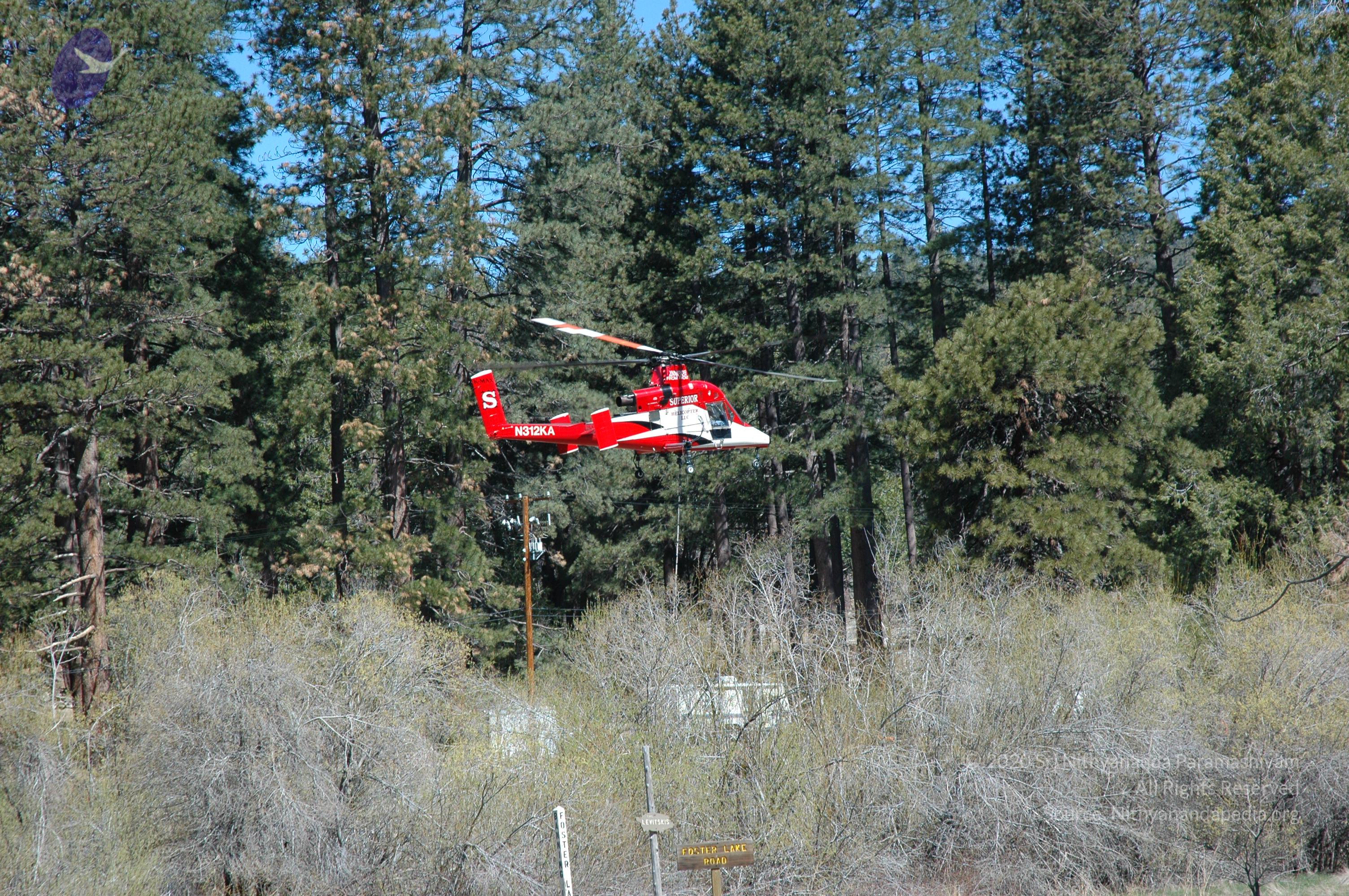 20060503_Photo_1023_DSC_0502_CMP_WM