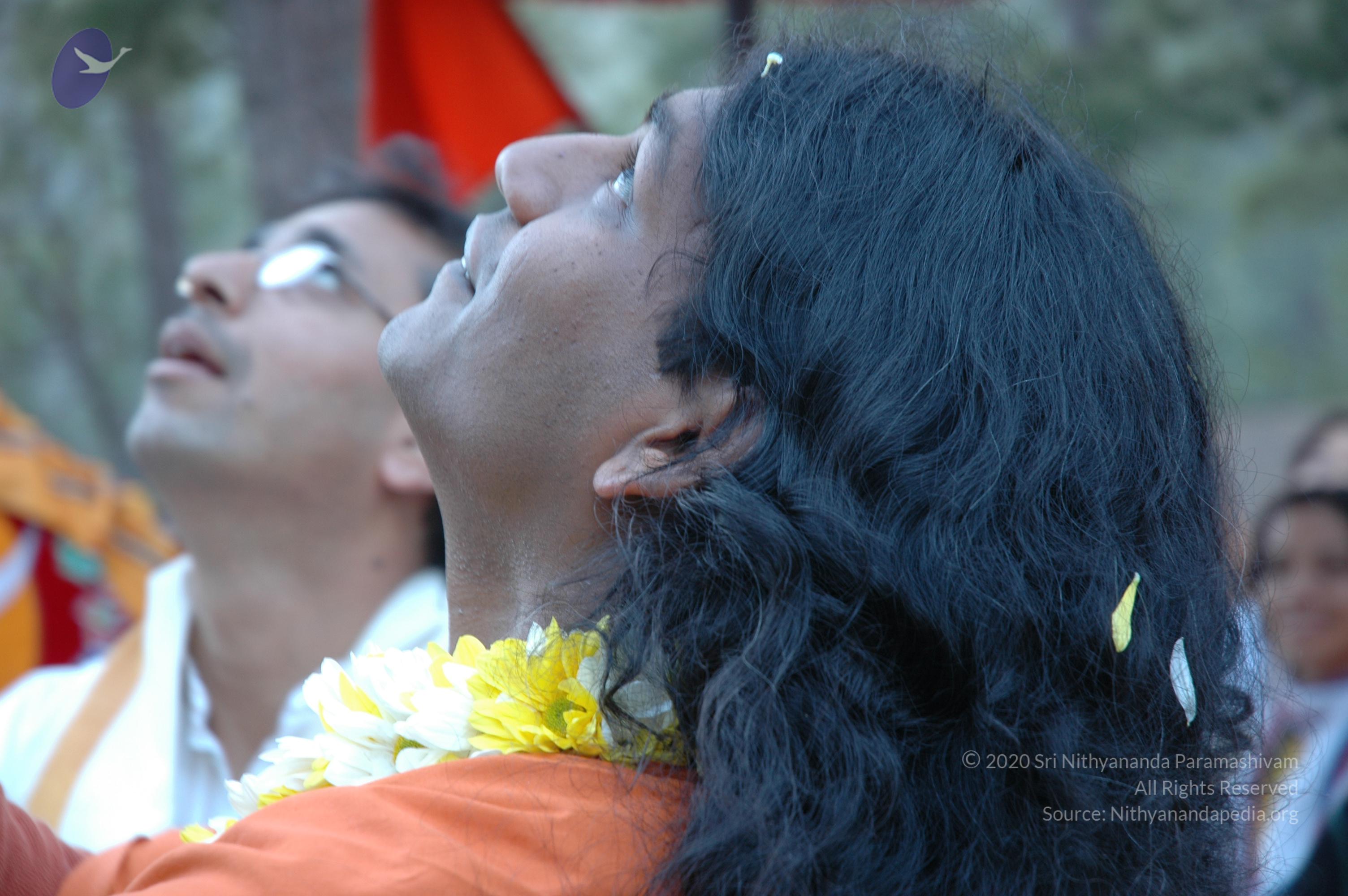 20060503_Photo_1093_DSC_0089_CMP_WM