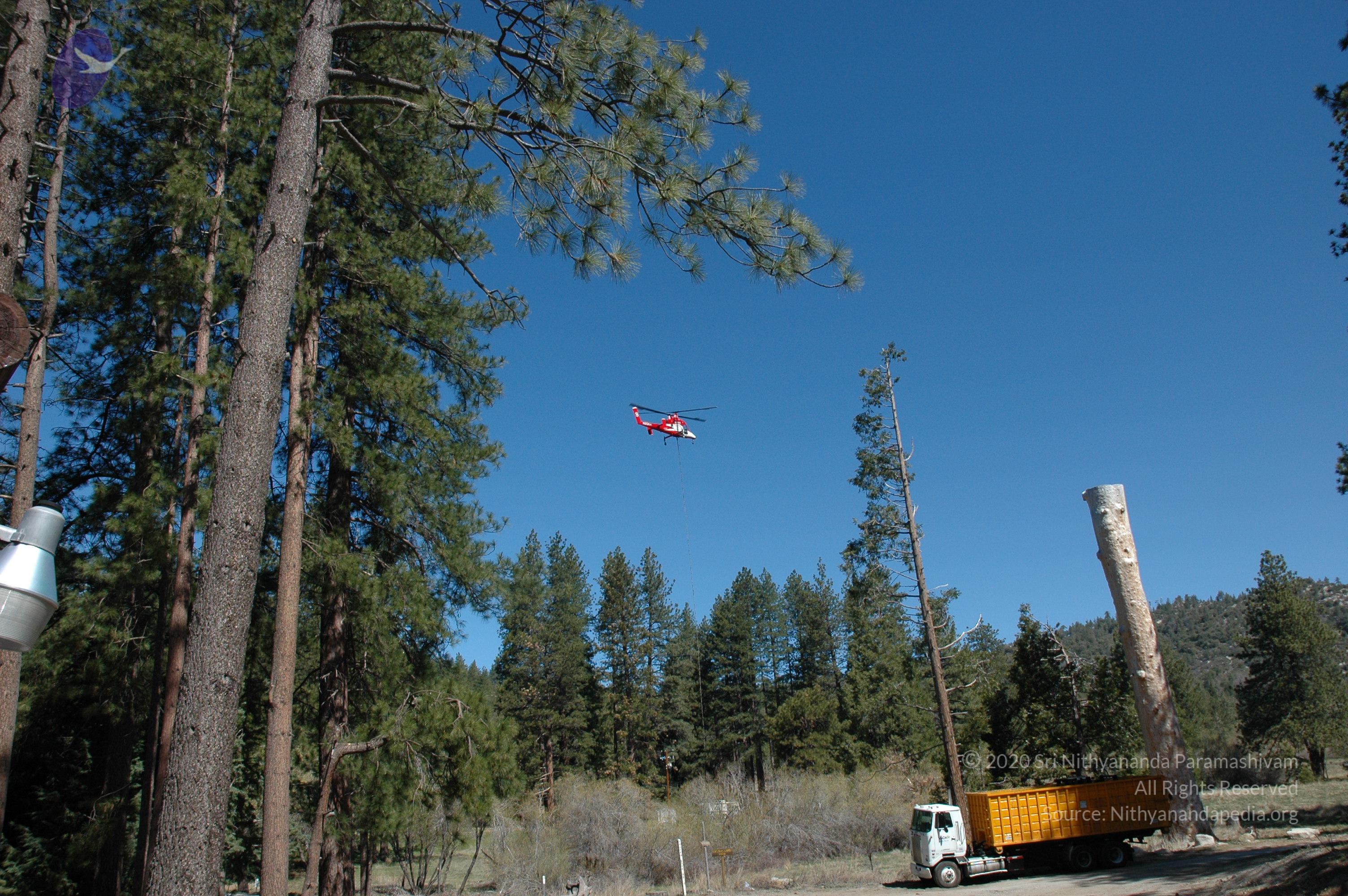 20060503_Photo_1111_DSC_0501_CMP_WM