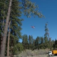 20060503_Photo_1111_DSC_0501_CMP_WM